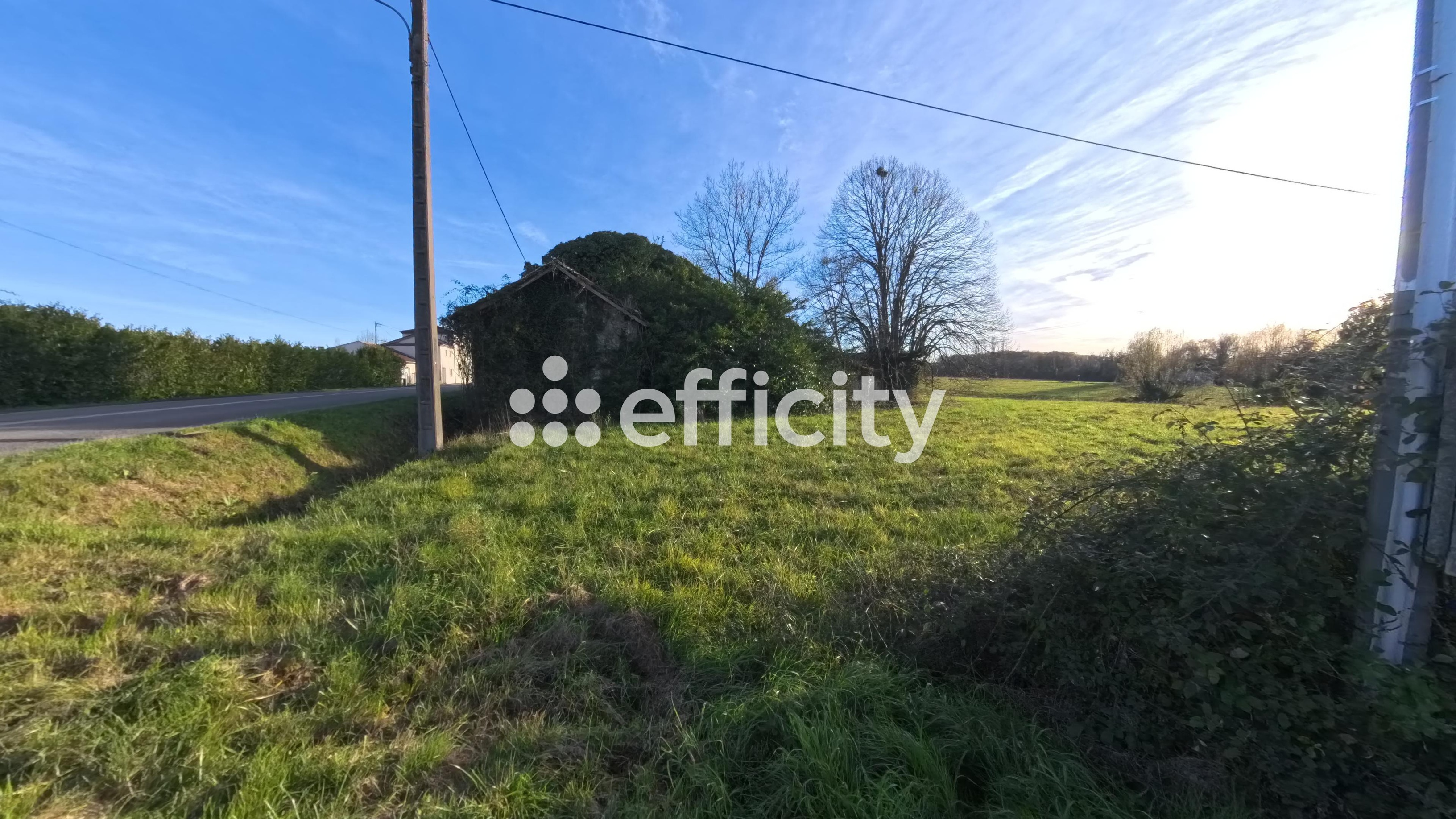 Achat immobilier Terrain   14992m2 à Villeneuve-sur-Lot (47300) - Photo n°5