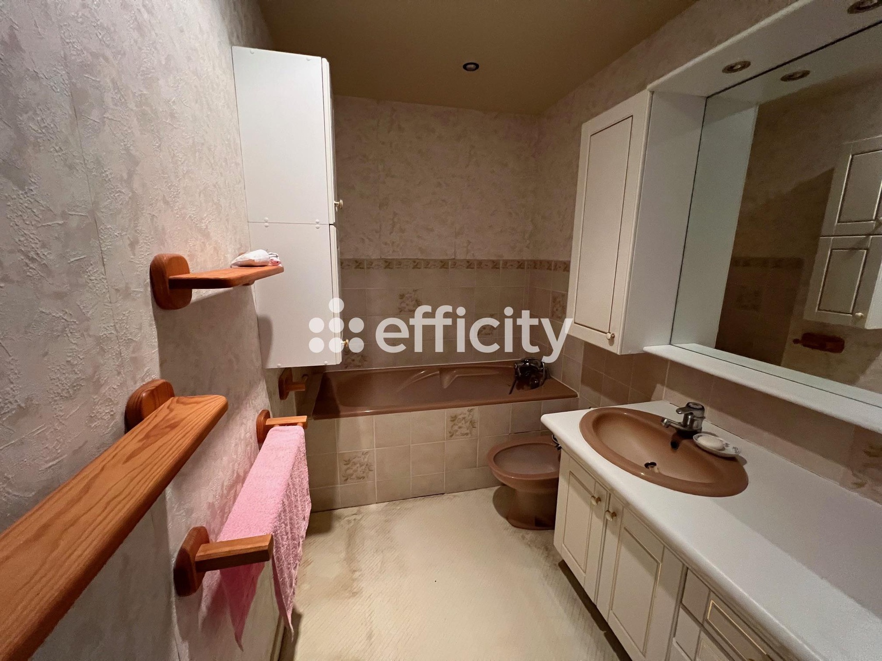 Achat immobilier Maison 6 pièces  222m2 à La Ferté-Bernard (72400) - Photo n°5