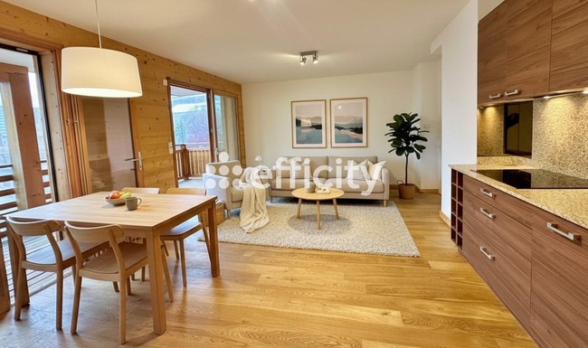 appartement 3 pièces - 62,0m2 à Saint-Étienne-de-Tinée (06660)