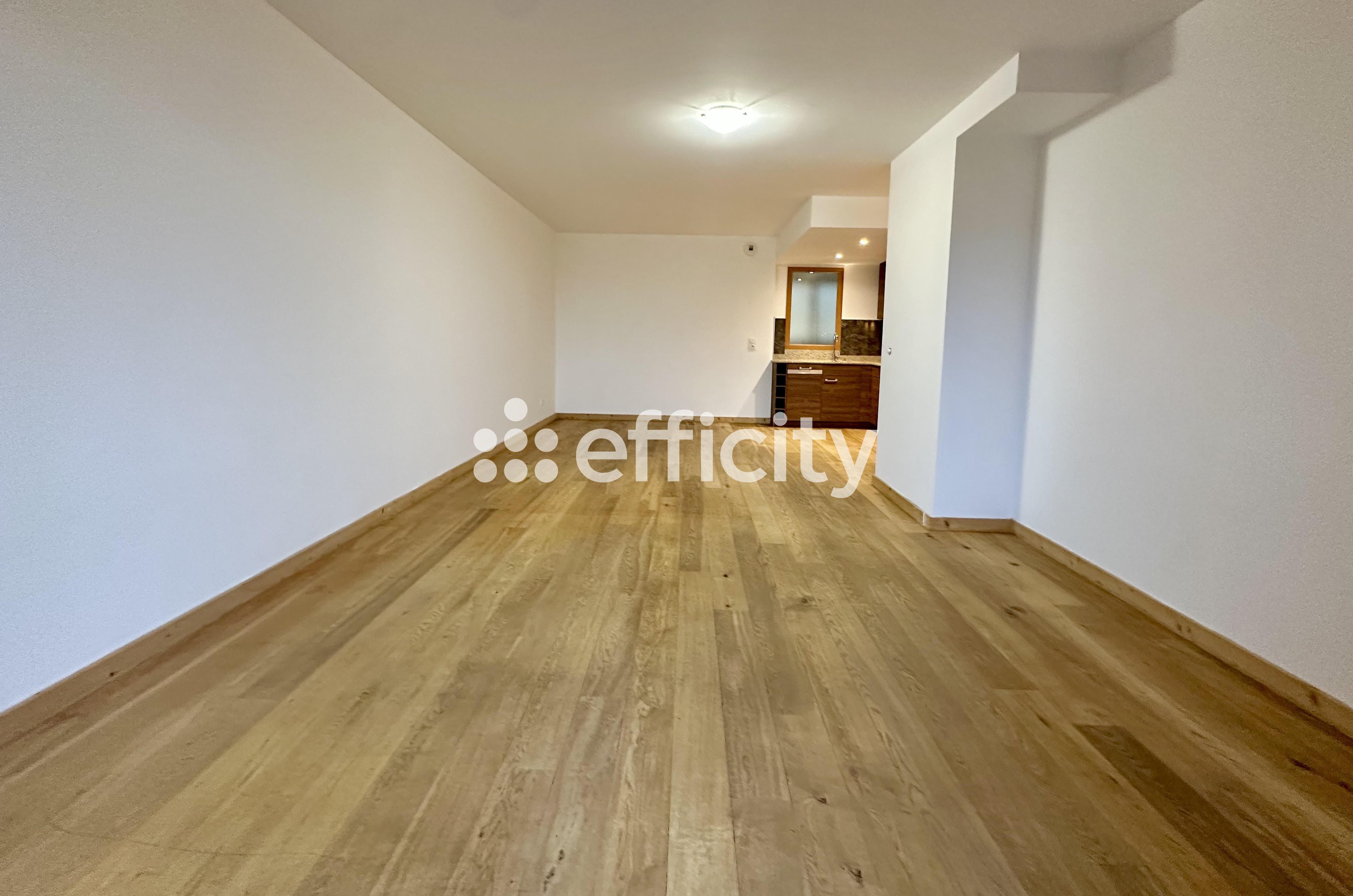 Achat immobilier Appartement 5 pièces  102m2 à Saint-Étienne-de-Tinée (06660) - Photo n°10