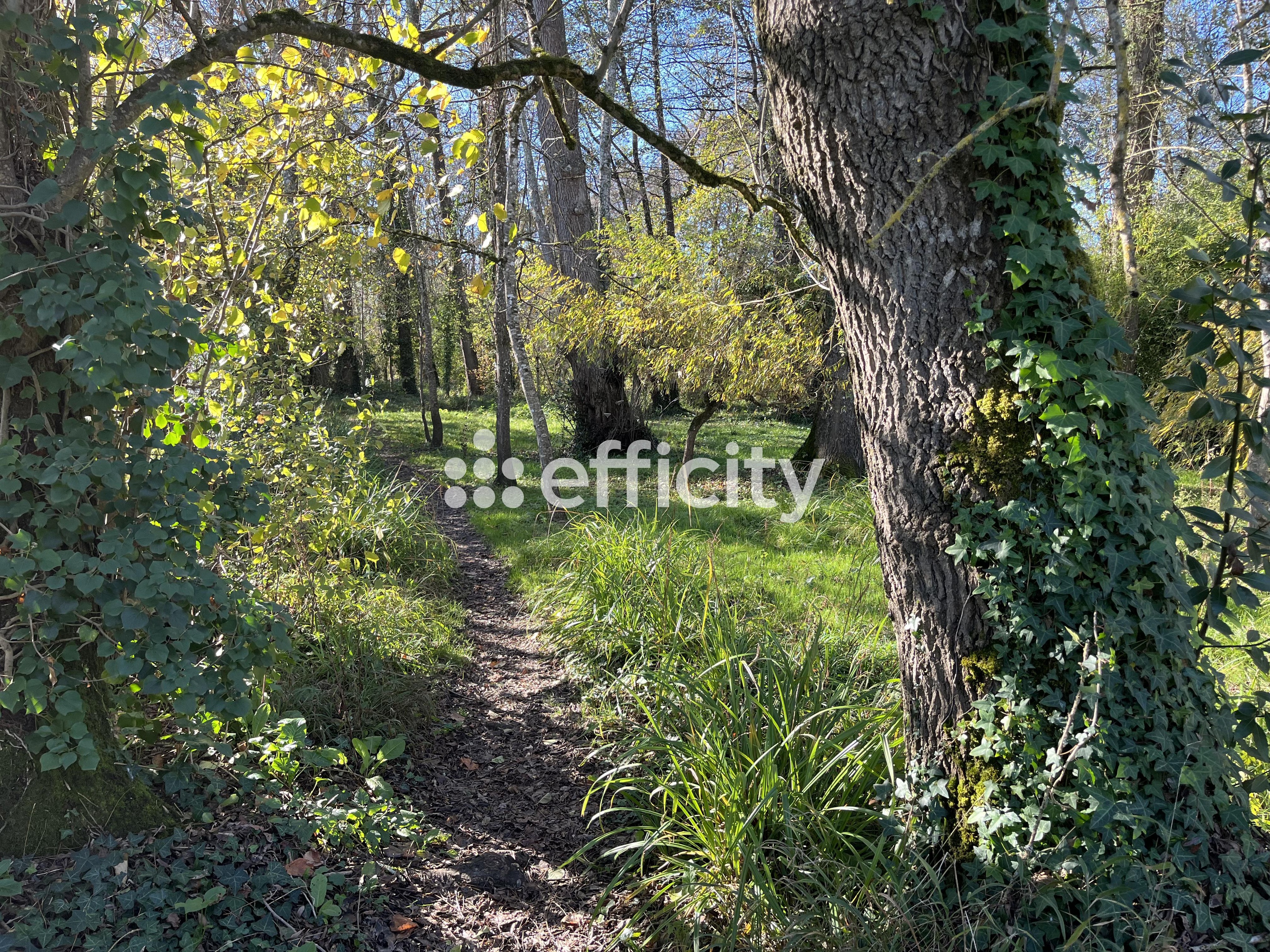 Achat immobilier Terrain   3613m2 à Cognac (16100) - Photo n°4