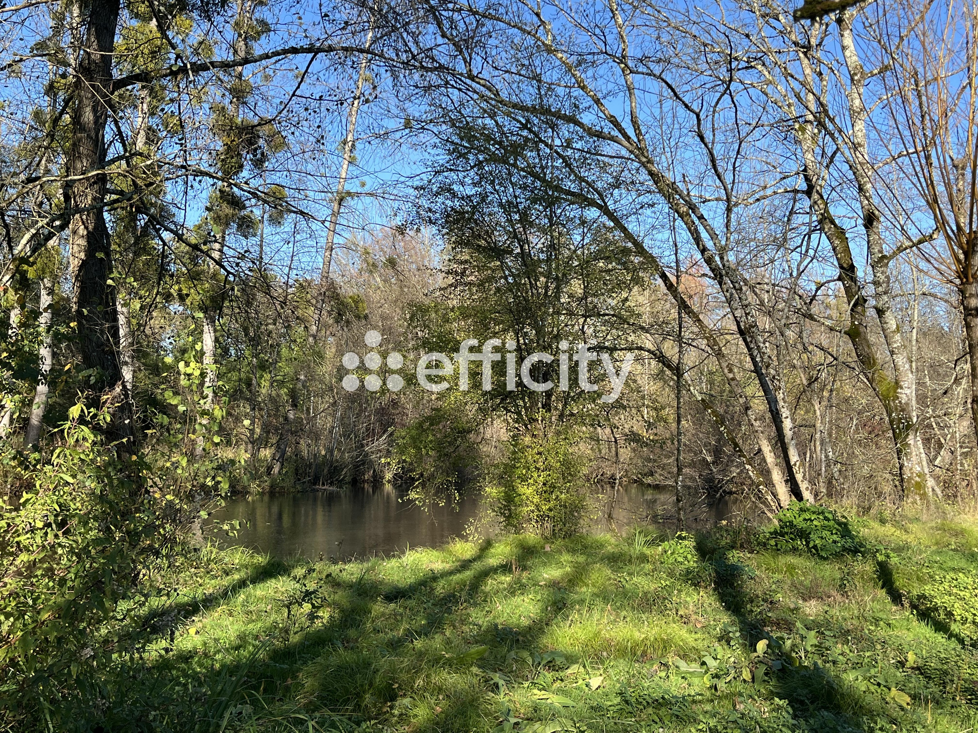 Achat immobilier Terrain   3613m2 à Cognac (16100) - Photo n°5
