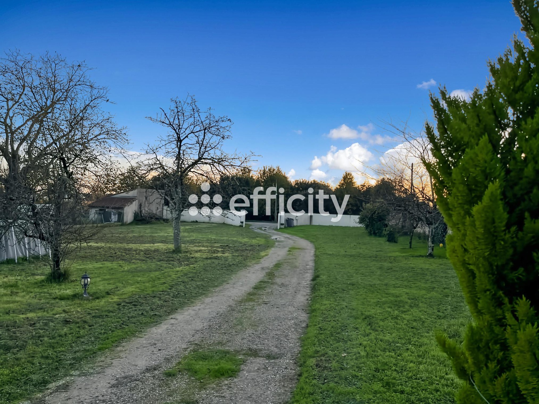 Achat immobilier Terrain   1200m2 à Boutiers-Saint-Trojan (16100) - Photo n°1