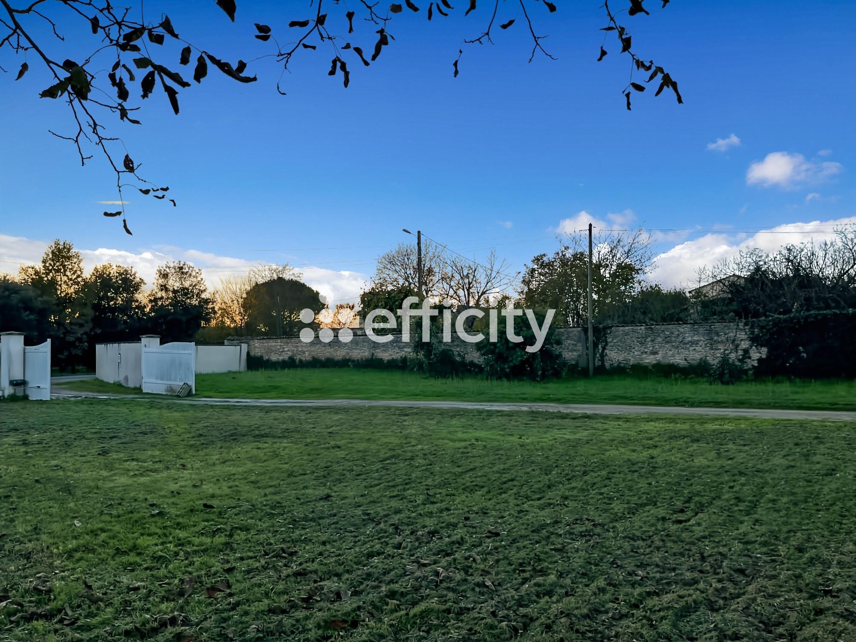 Achat immobilier Terrain   1200m2 à Boutiers-Saint-Trojan (16100) - Photo n°4
