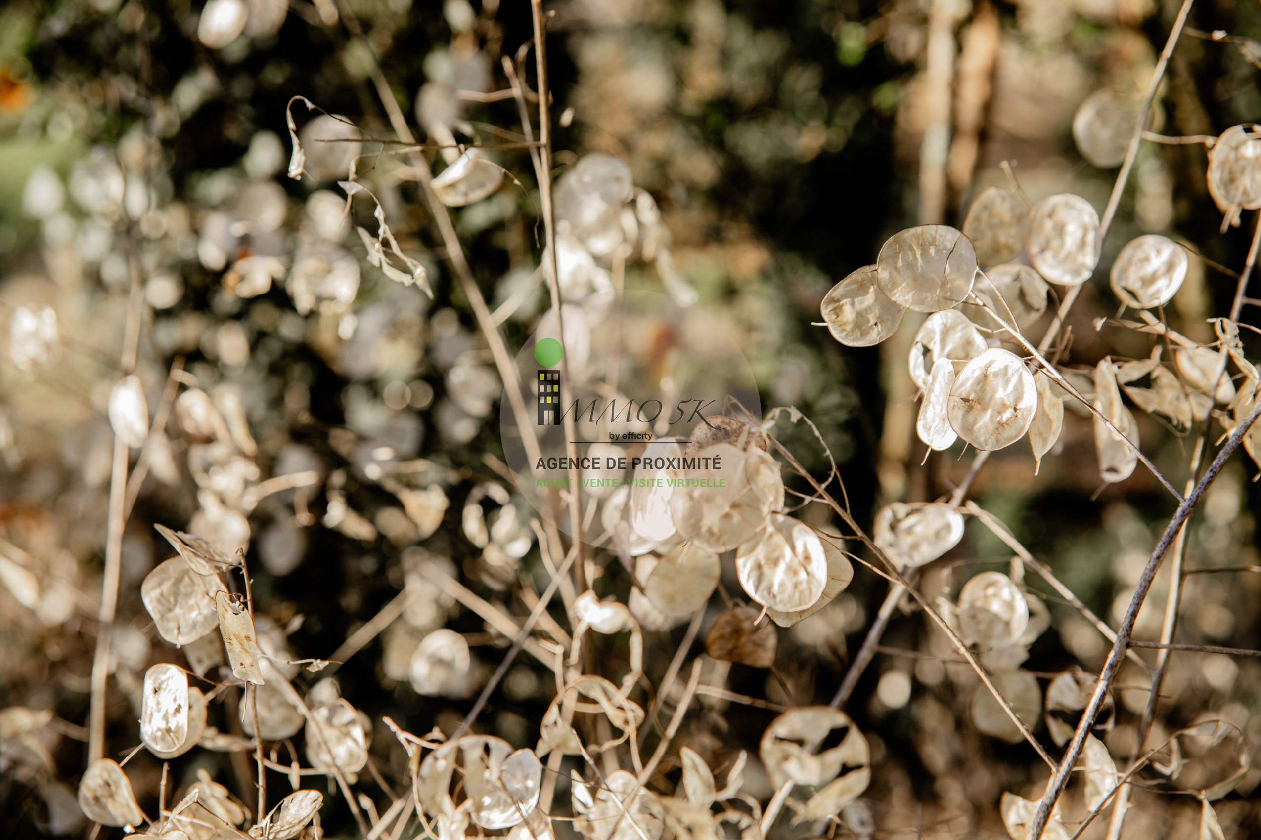 Achat immobilier Appartement 5 pièces  105m2 à Caluire-et-Cuire (69140) - Photo n°15