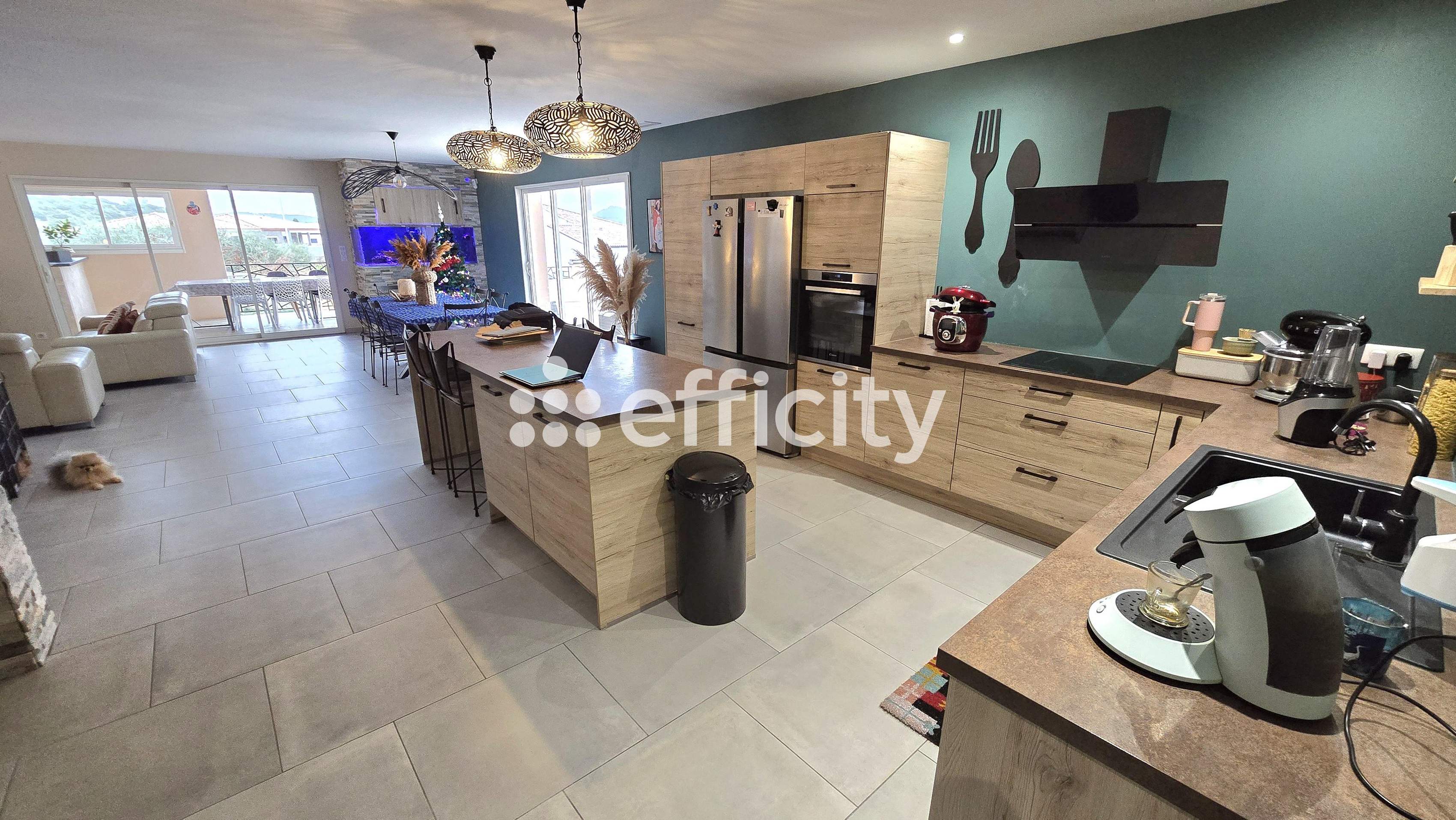 Achat immobilier Maison 6 pièces  181m2 à Cessenon-sur-Orb (34460) - Photo n°5