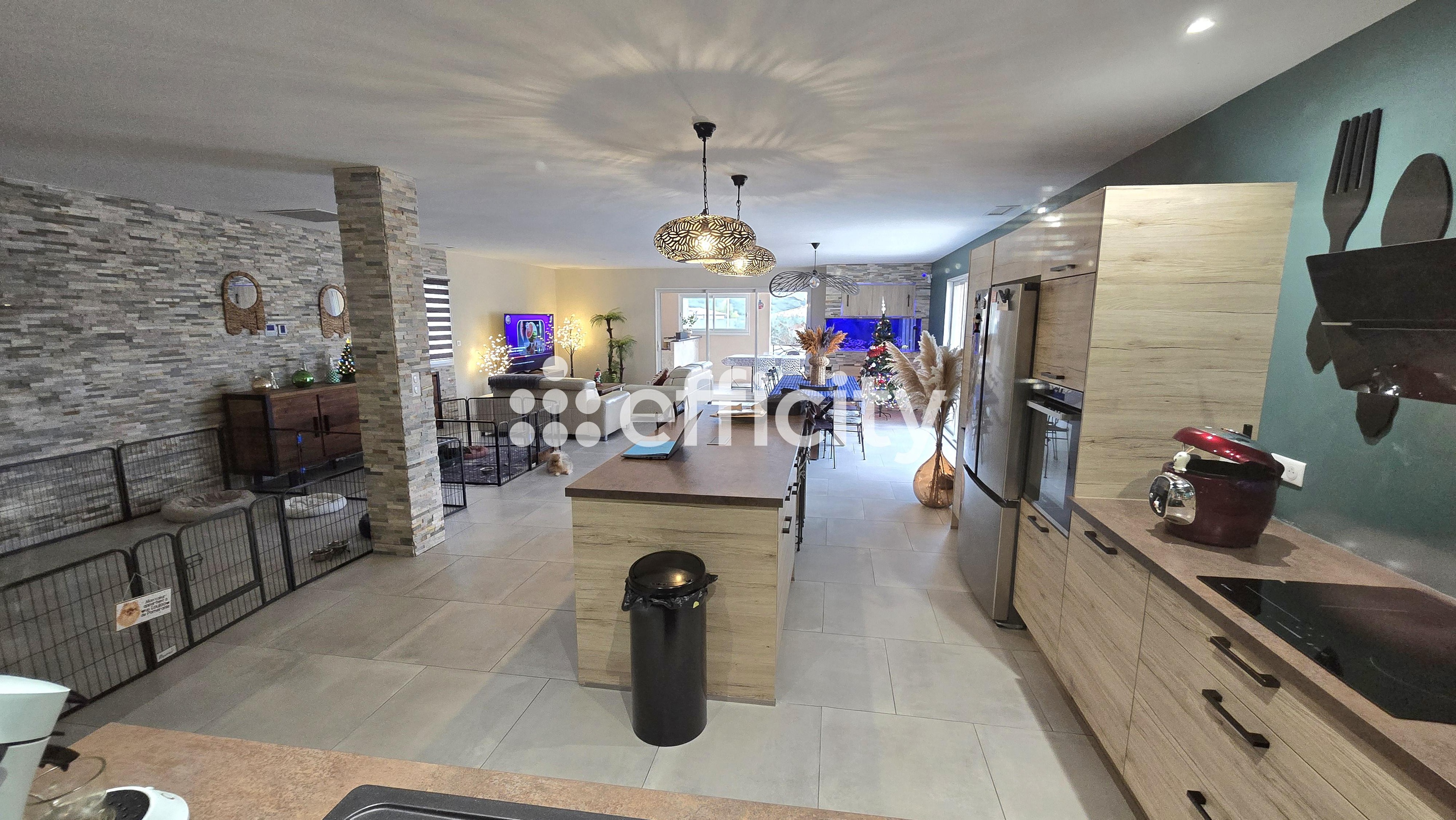 Achat immobilier Maison 6 pièces  181m2 à Cessenon-sur-Orb (34460) - Photo n°4