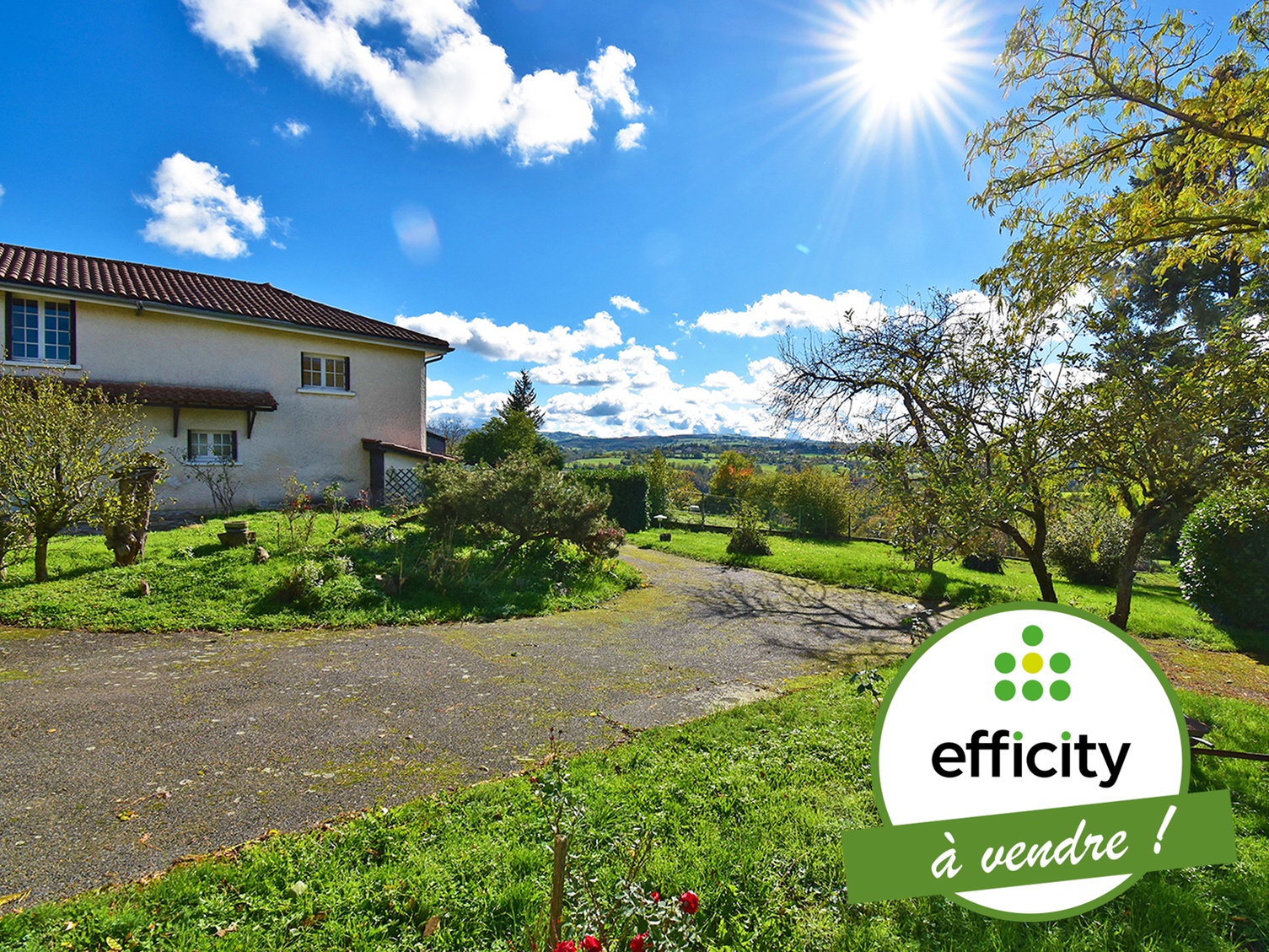 Achat immobilier Maison 5 pièces  147m2 à Chazelles-sur-Lyon (42140) - Photo n°1