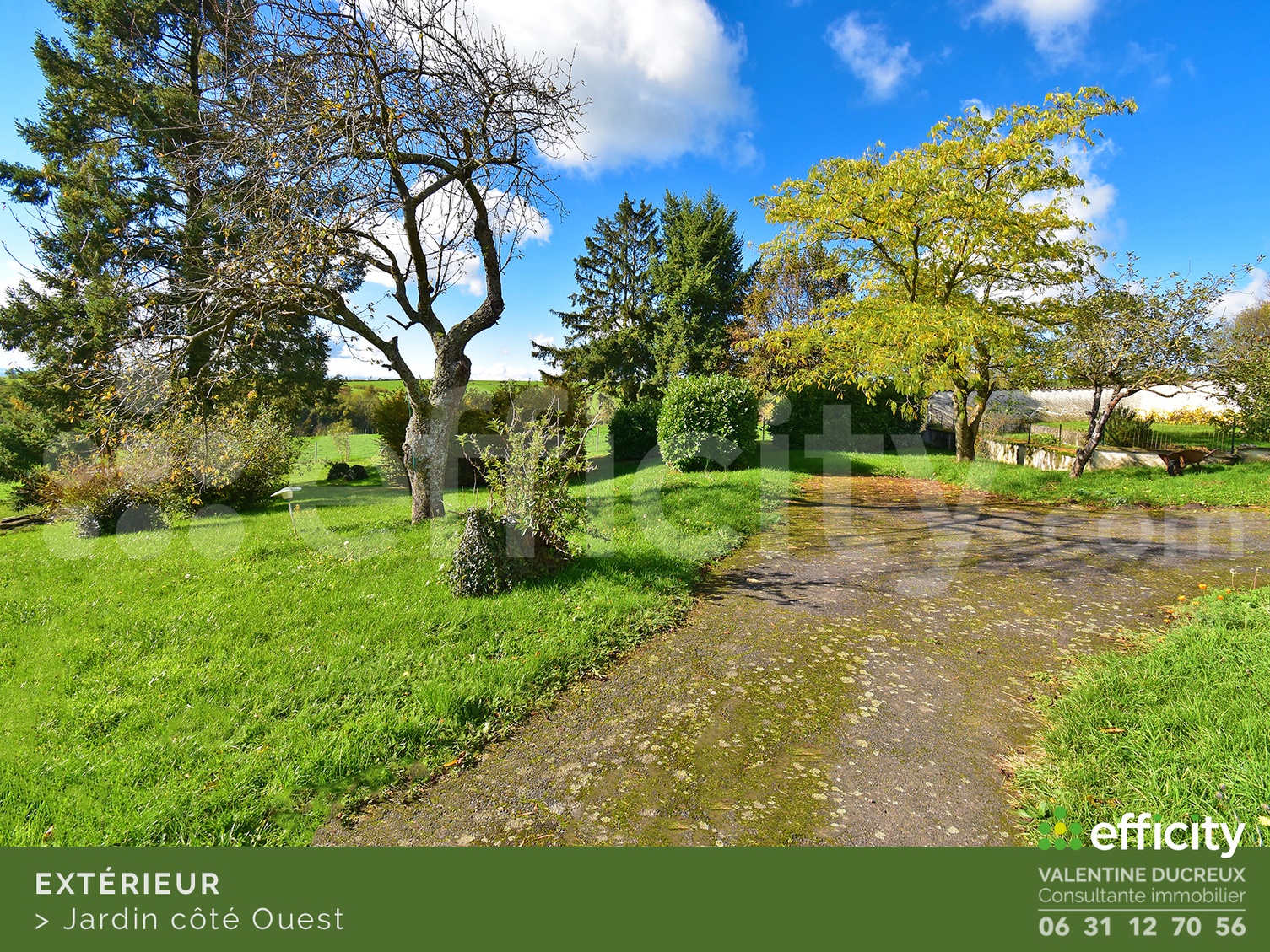 Achat immobilier Maison 5 pièces  147m2 à Chazelles-sur-Lyon (42140) - Photo n°8