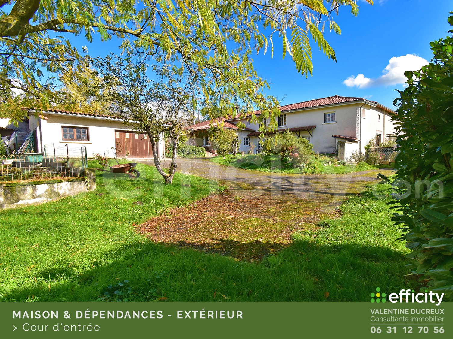 Achat immobilier Maison 5 pièces  147m2 à Chazelles-sur-Lyon (42140) - Photo n°5