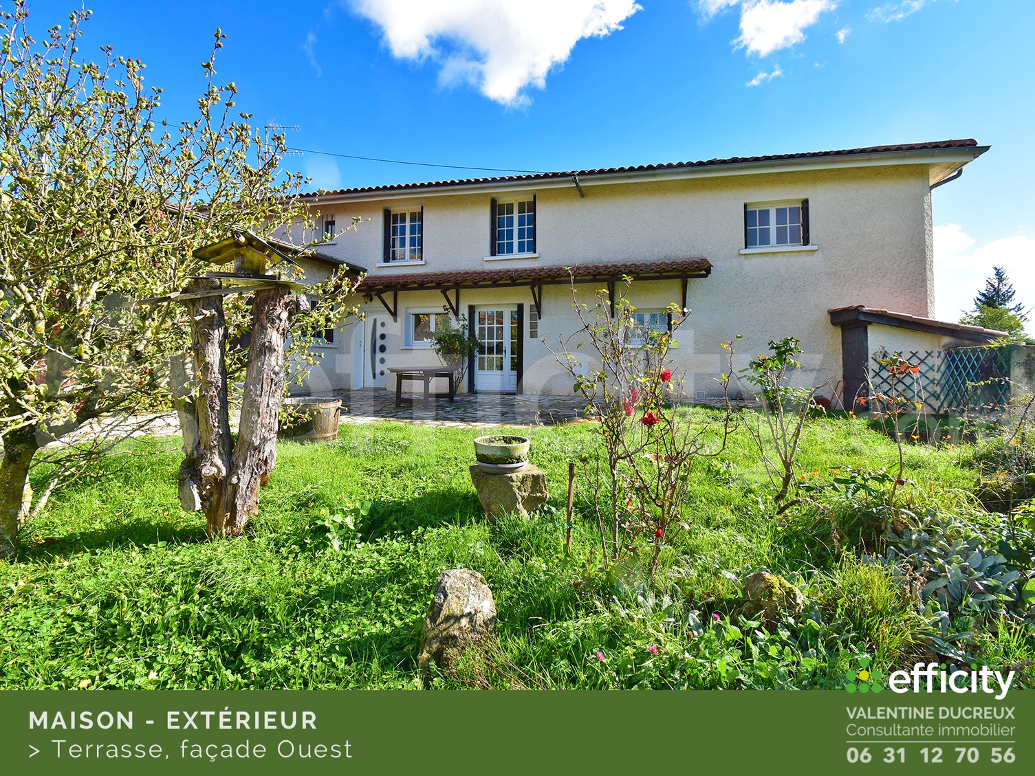 Achat immobilier Maison 5 pièces  147m2 à Chazelles-sur-Lyon (42140) - Photo n°4