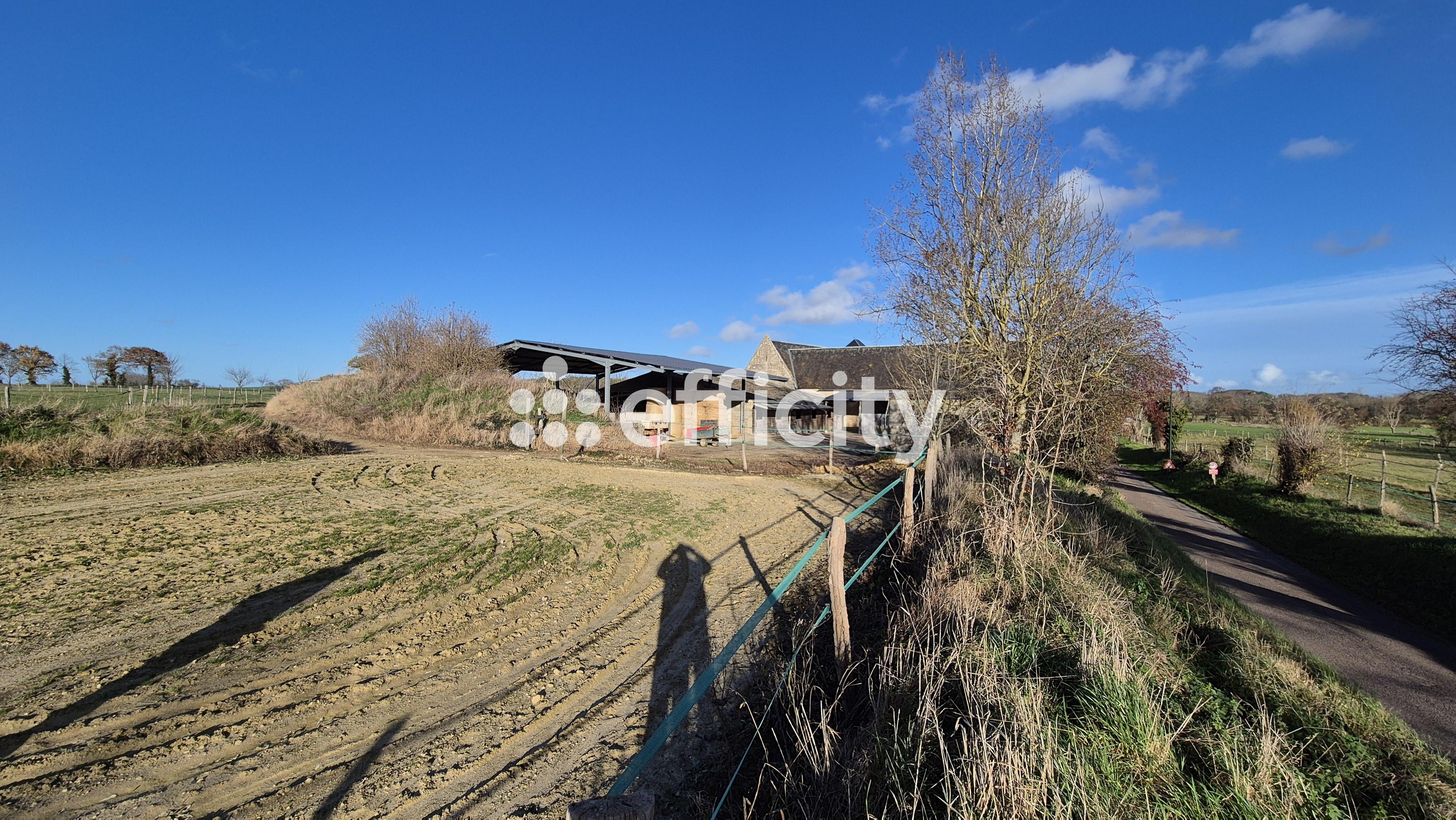 Achat immobilier Maison 9 pièces  250m2 à Vienne-en-Bessin (14400) - Photo n°34