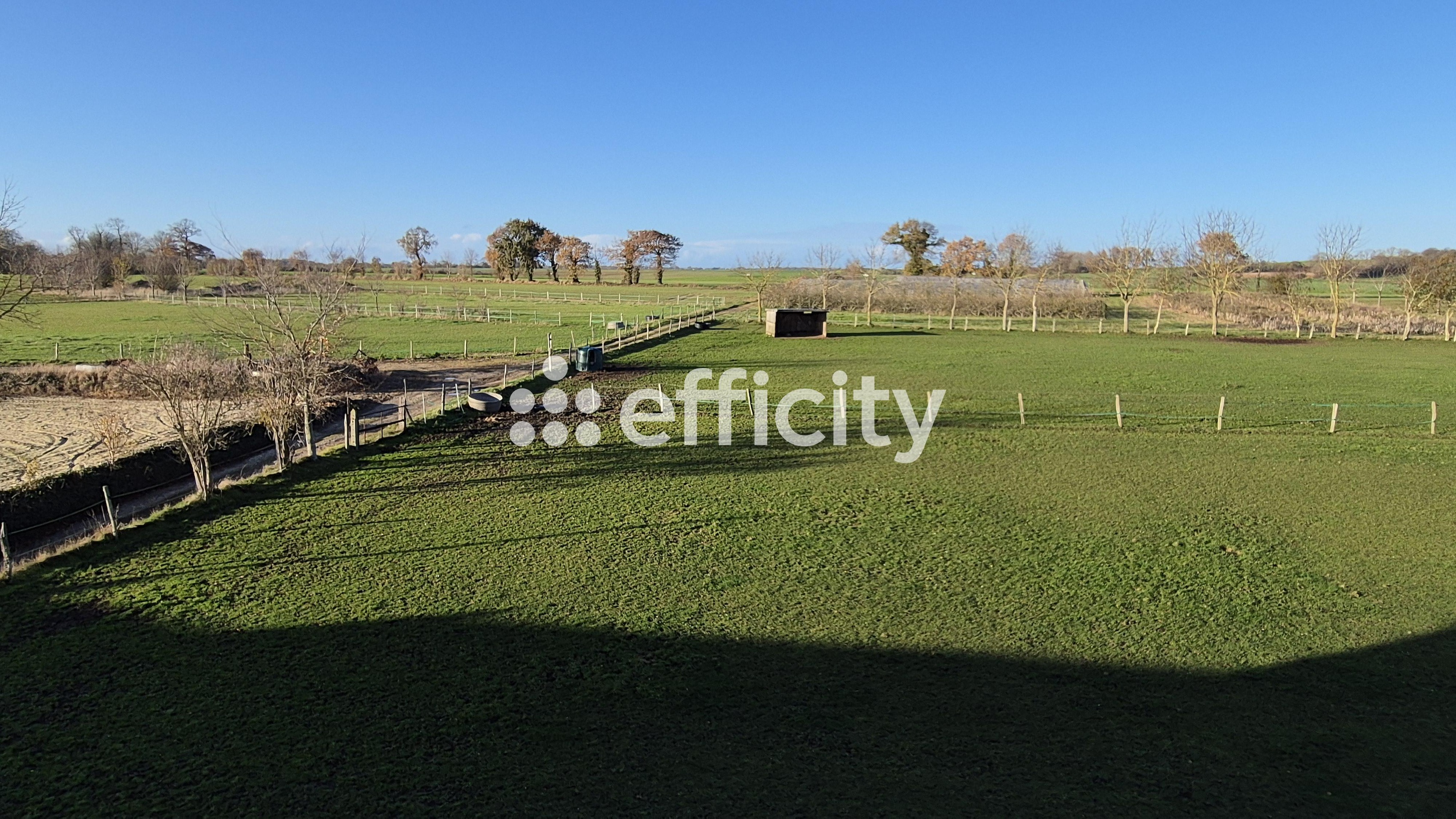 Achat immobilier Maison 9 pièces  250m2 à Vienne-en-Bessin (14400) - Photo n°29