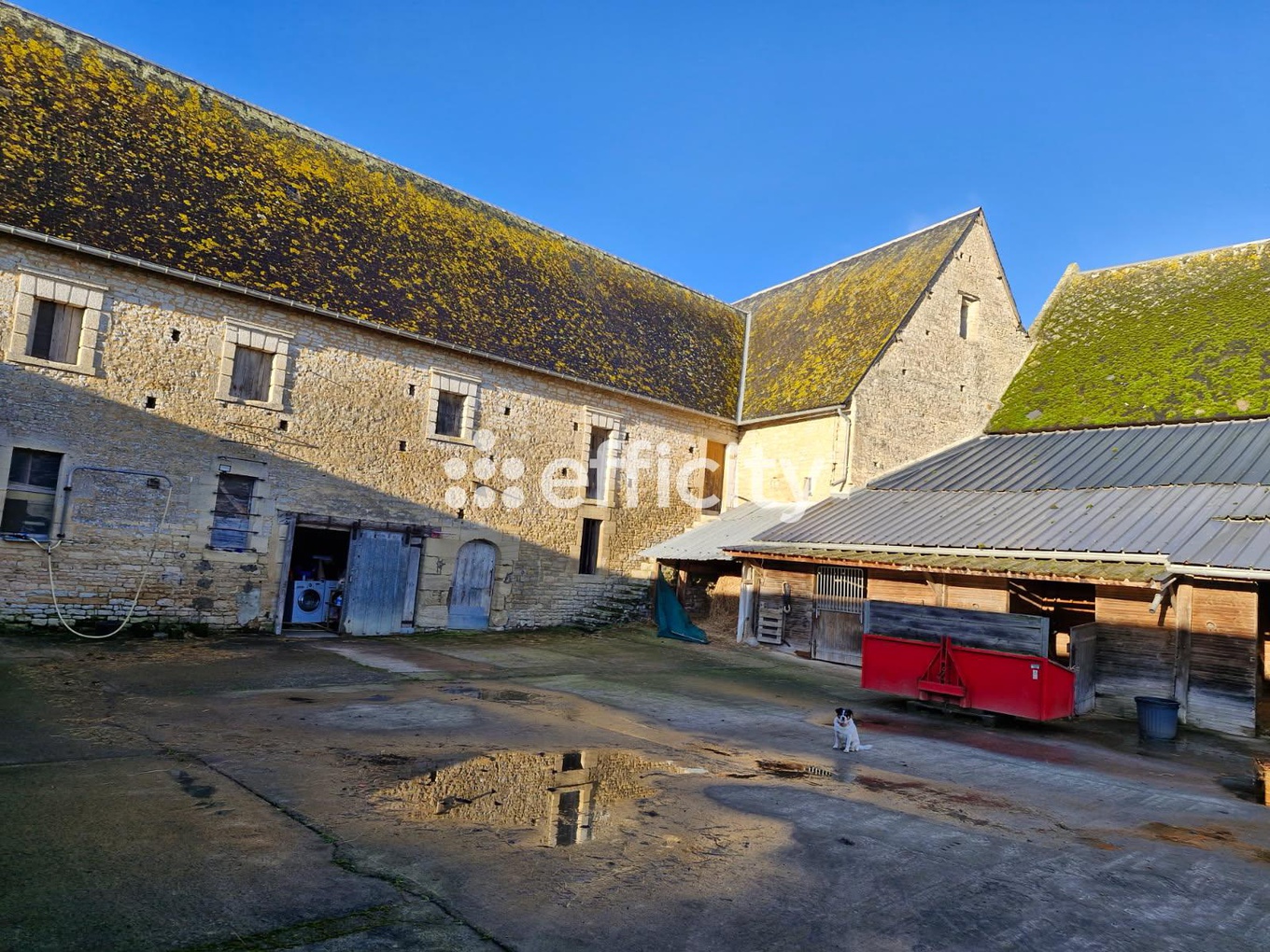 Achat immobilier Maison 9 pièces  250m2 à Vienne-en-Bessin (14400) - Photo n°35