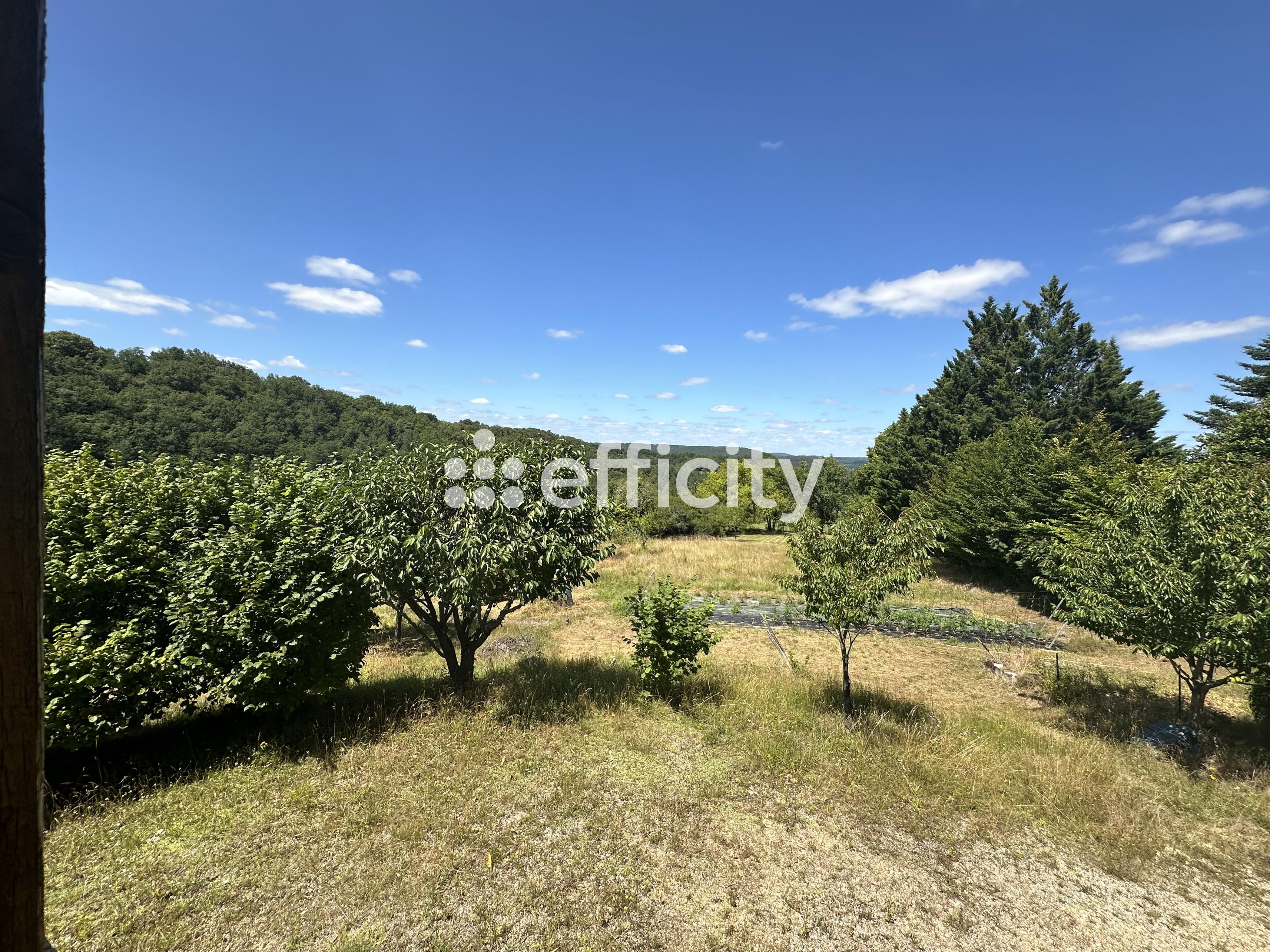 Achat immobilier Maison 8 pièces  211m2 à Cénac-et-Saint-Julien (24091) - Photo n°14