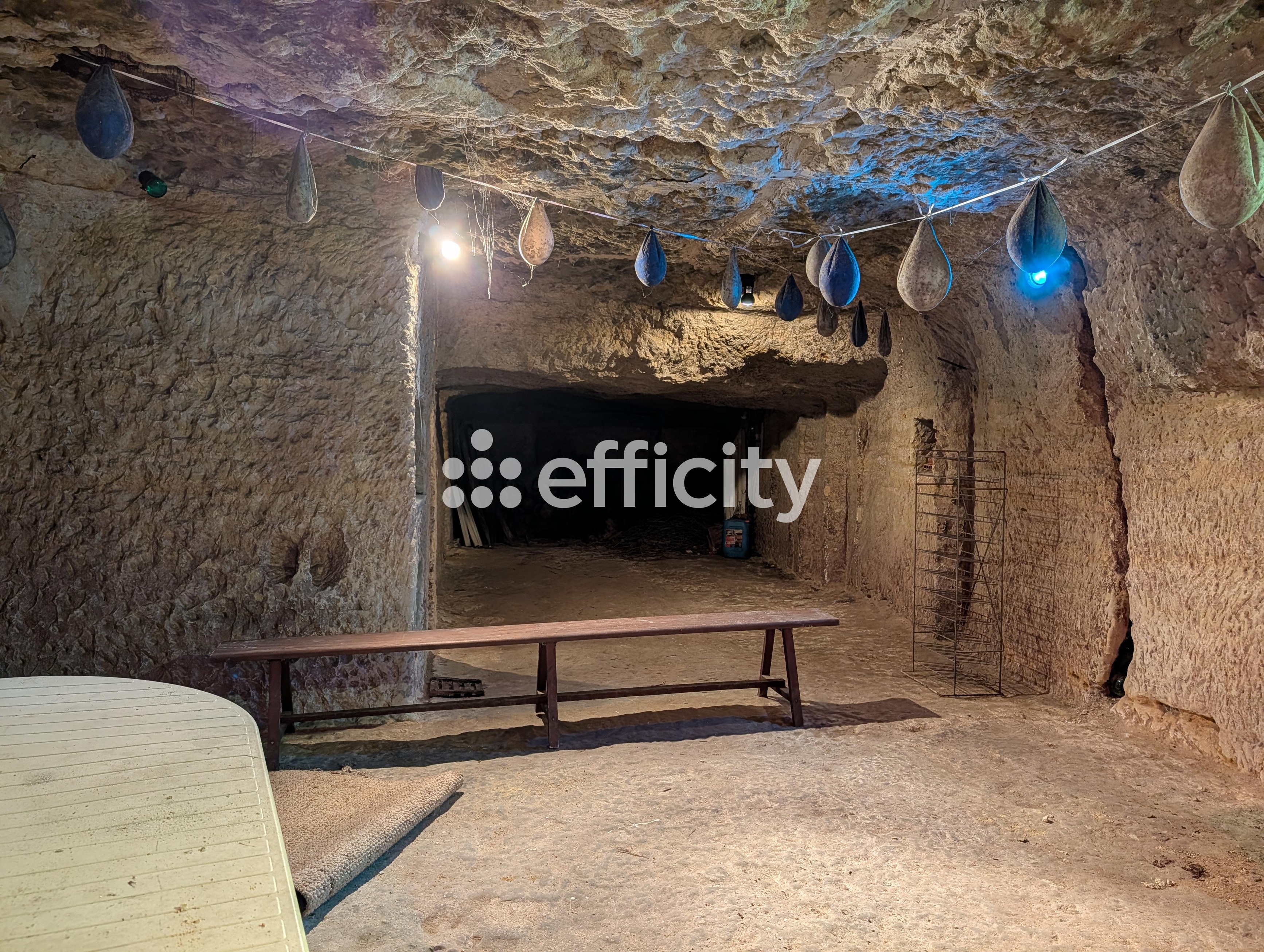 Achat immobilier Parking   60m2 à Parçay-Meslay (37210) - Photo n°5