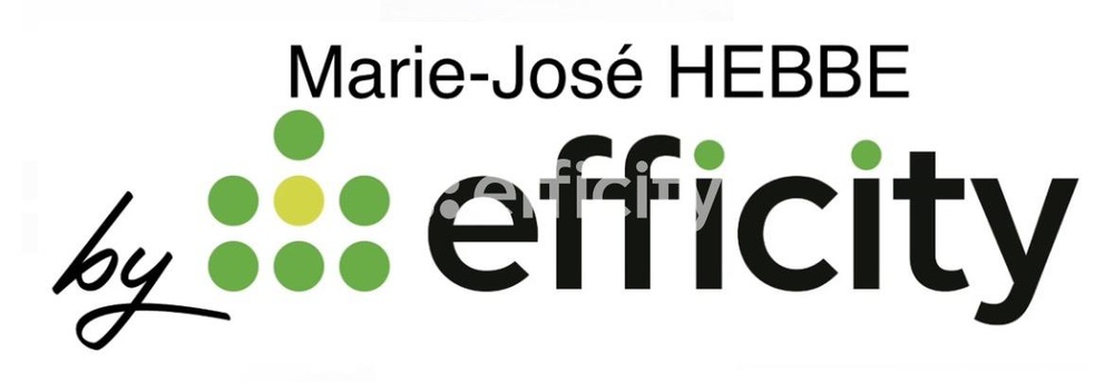 Achat immobilier Maison 8 pièces  240m2 à Charly-sur-Marne (02310) - Photo n°18