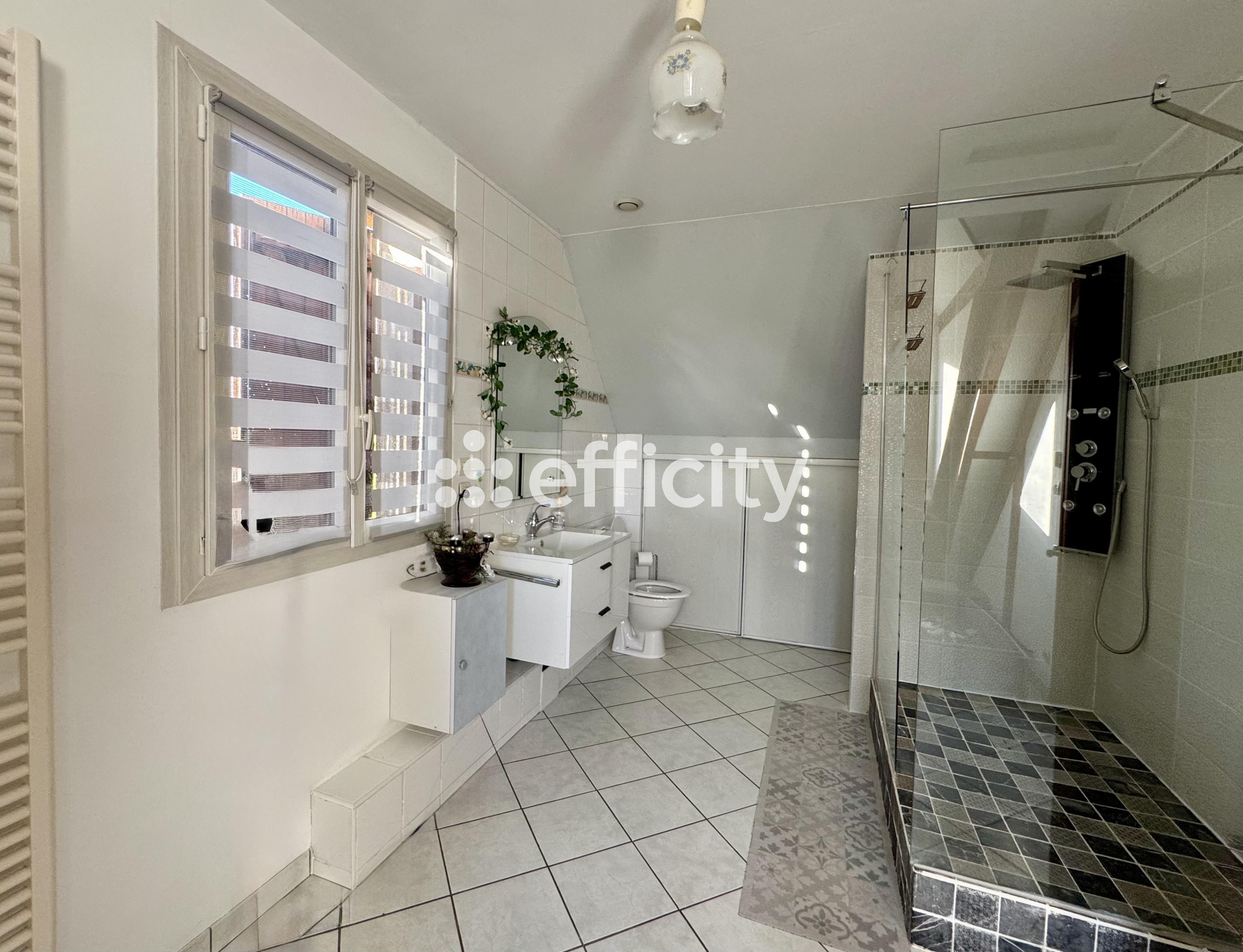 Achat immobilier Maison 8 pièces  240m2 à Charly-sur-Marne (02310) - Photo n°15