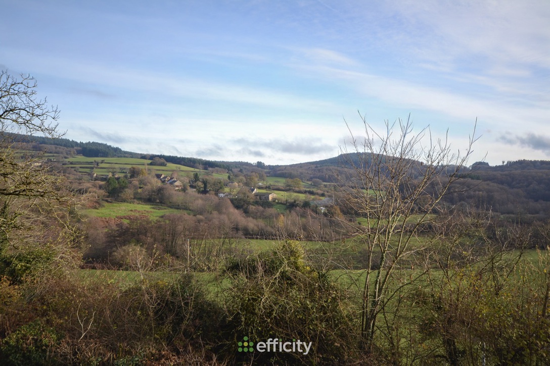 Achat immobilier Maison 4 pièces  136m2 à Gâcogne (58140) - Photo n°24