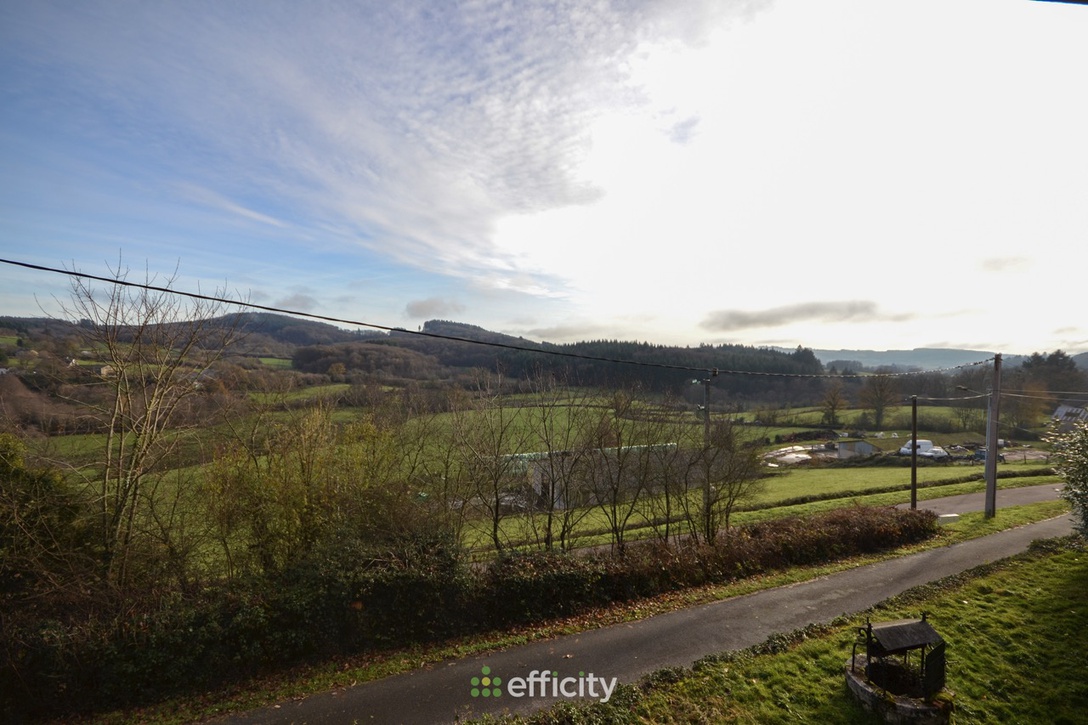 Achat immobilier Maison 4 pièces  136m2 à Gâcogne (58140) - Photo n°25