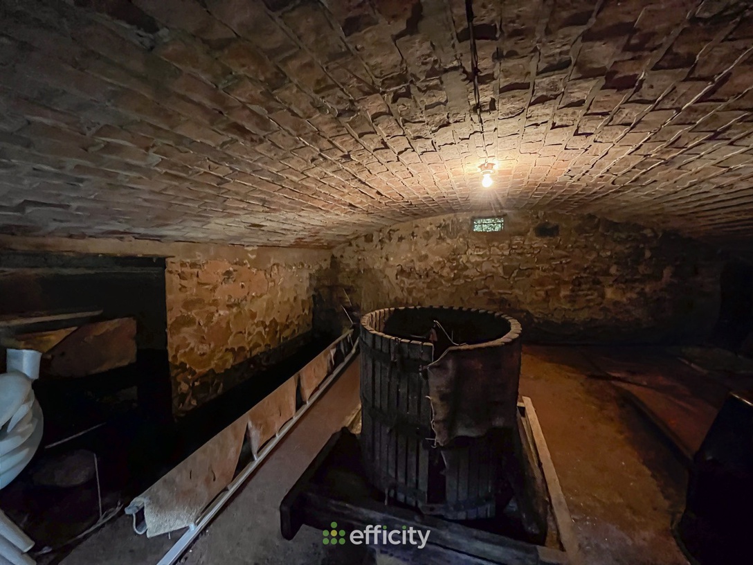 Achat immobilier Maison 4 pièces  136m2 à Gâcogne (58140) - Photo n°20