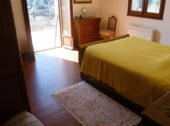 Achat immobilier Maison 11 pièces  216m2 à Pietra-di-Verde (20230) - Photo n°11