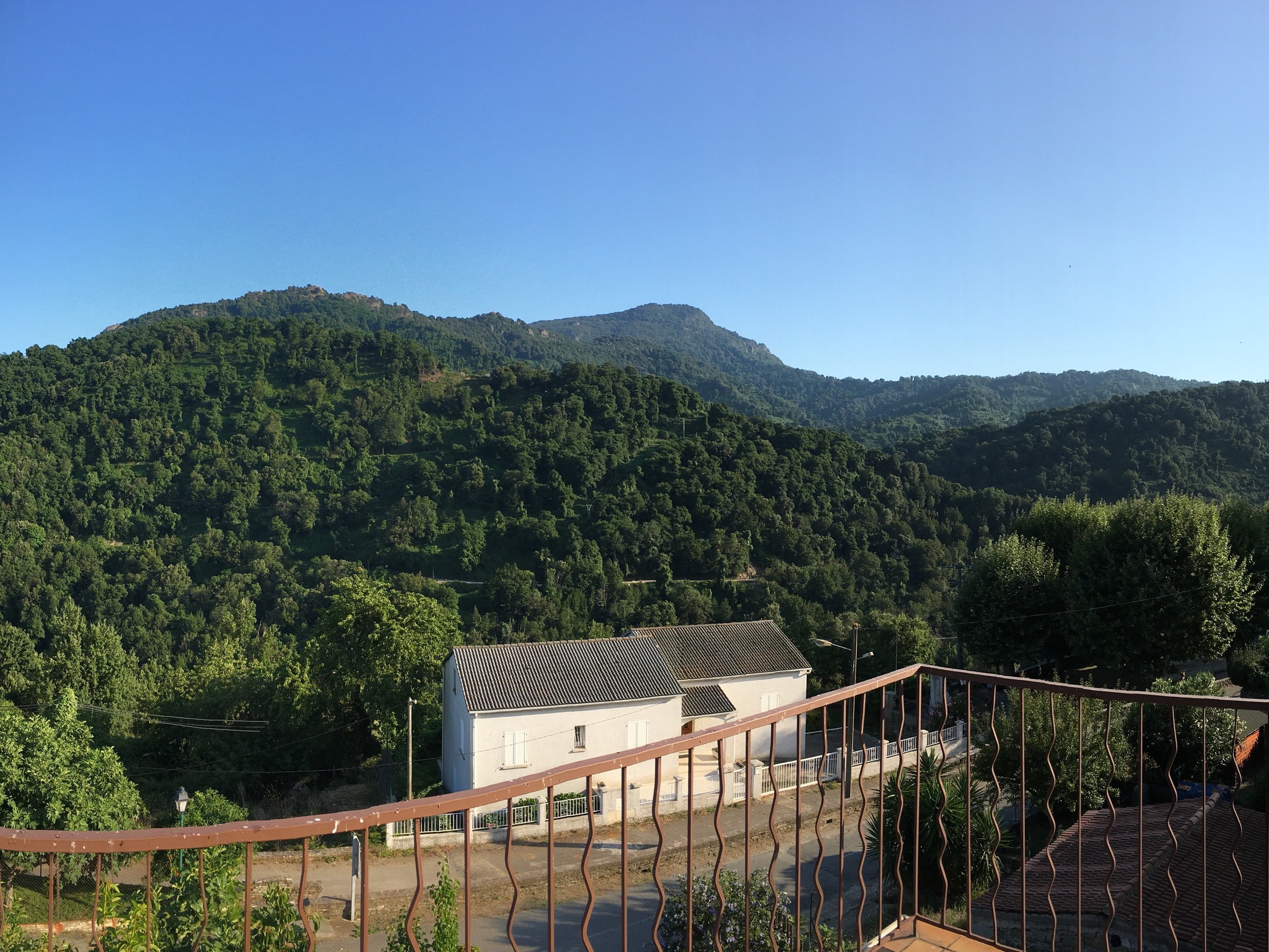 Achat immobilier Maison 11 pièces  216m2 à Pietra-di-Verde (20230) - Photo n°12