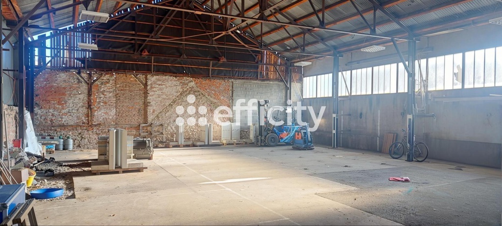 loft 1 pièces - 375,0m2 à Guebwiller (68500)