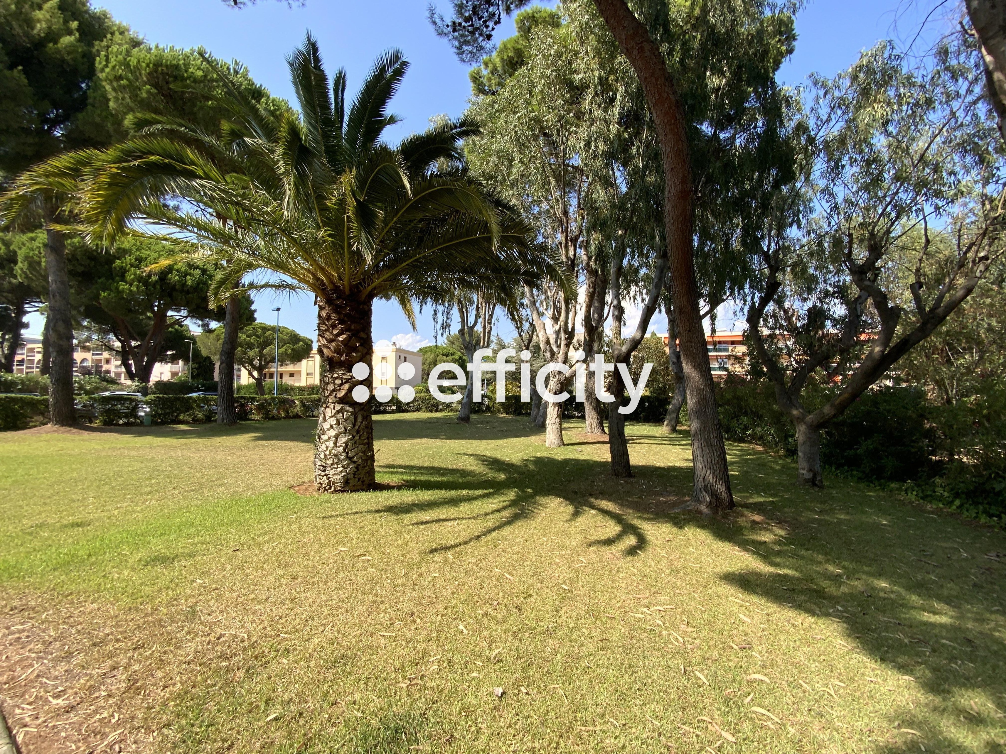 Achat immobilier Appartement 2 pièces  35m2 à Bormes-les-Mimosas (83230) - Photo n°1