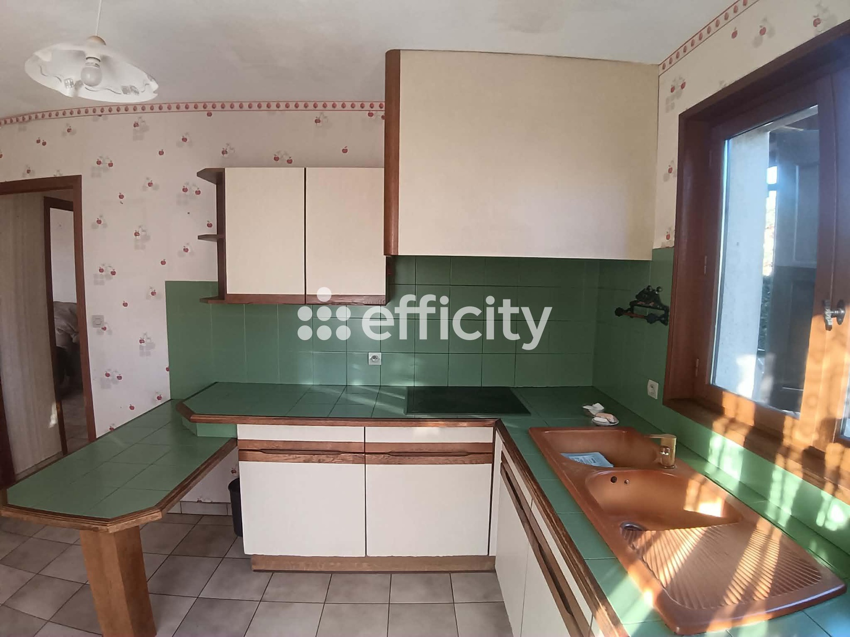Achat immobilier Maison 4 pièces  120m2 à Feurs (42110) - Photo n°6