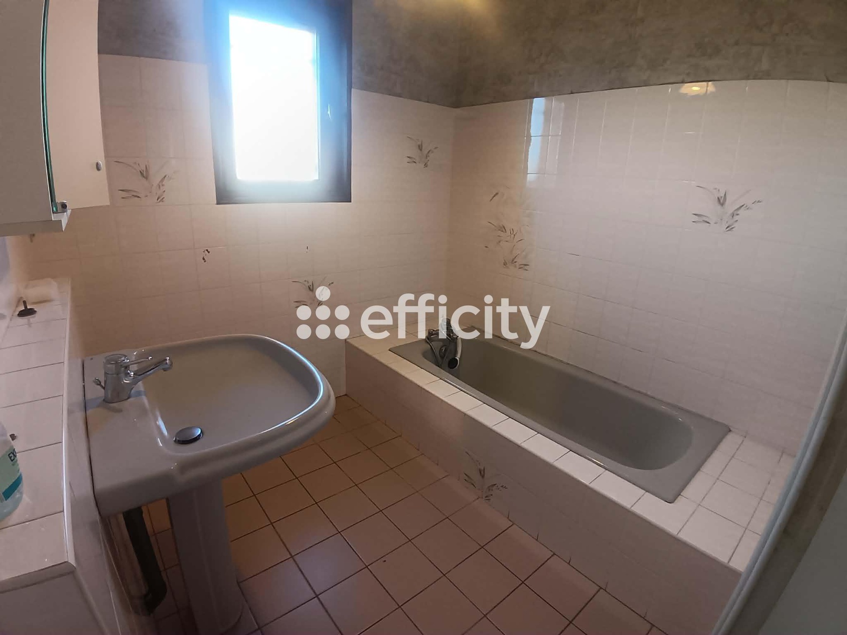 Achat immobilier Maison 4 pièces  120m2 à Feurs (42110) - Photo n°12