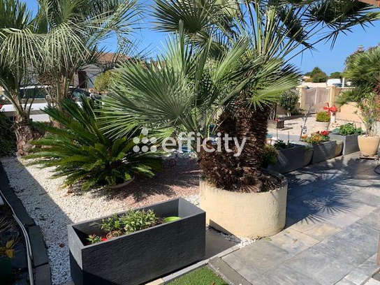 Achat immobilier Maison 5 pièces  115m2 à Marennes-Hiers-Brouage (17320) - Photo n°16