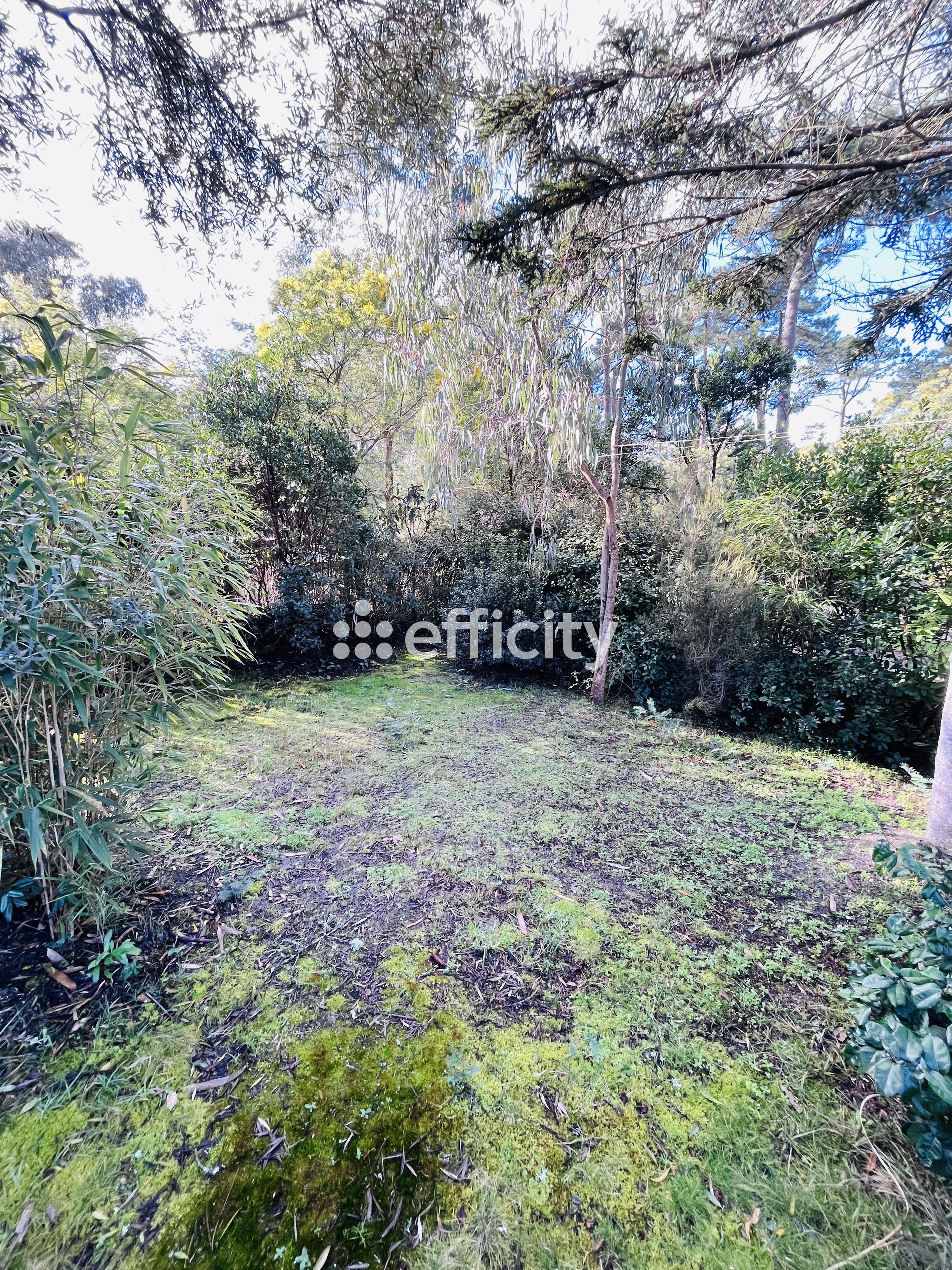 Achat immobilier Maison 5 pièces  112m2 à Lacanau (33680) - Photo n°21