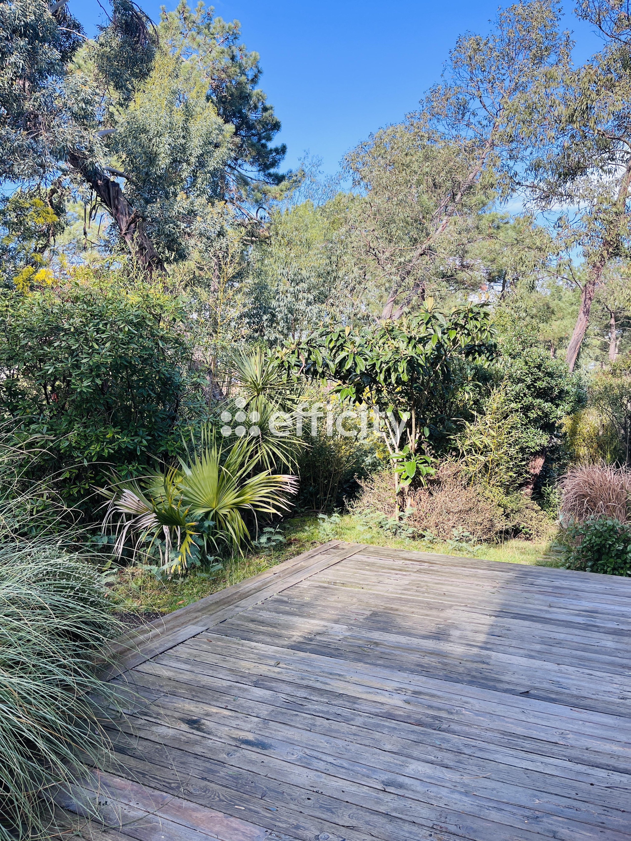 Achat immobilier Maison 5 pièces  112m2 à Lacanau (33680) - Photo n°9