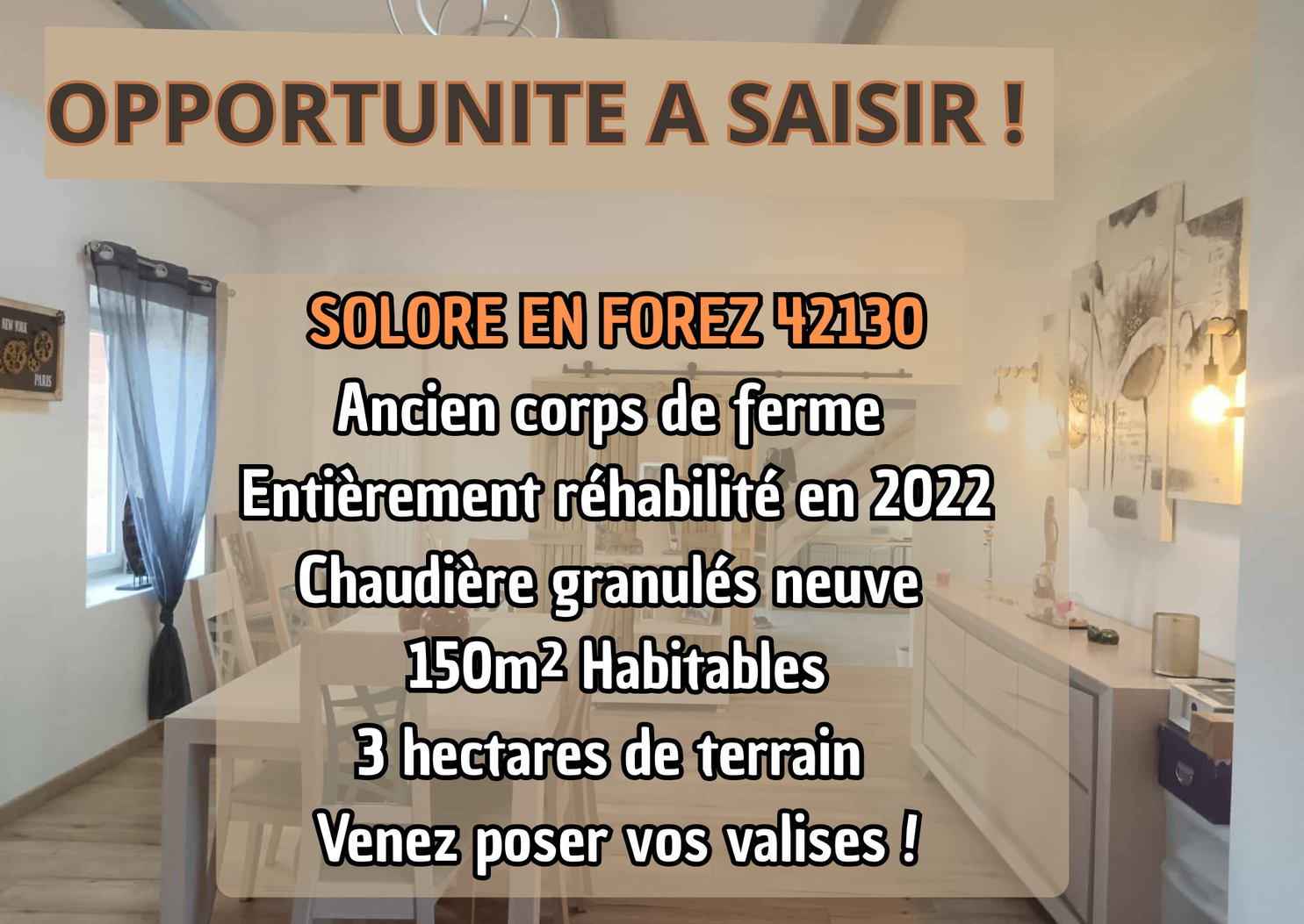 Achat immobilier Maison 5 pièces  210m2 à Solore-en-Forez (42130) - Photo n°1