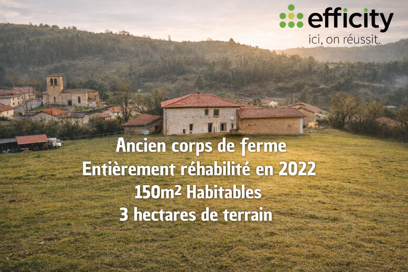 Achat immobilier Maison 5 pièces  210m2 à Solore-en-Forez (42130) - Photo n°17