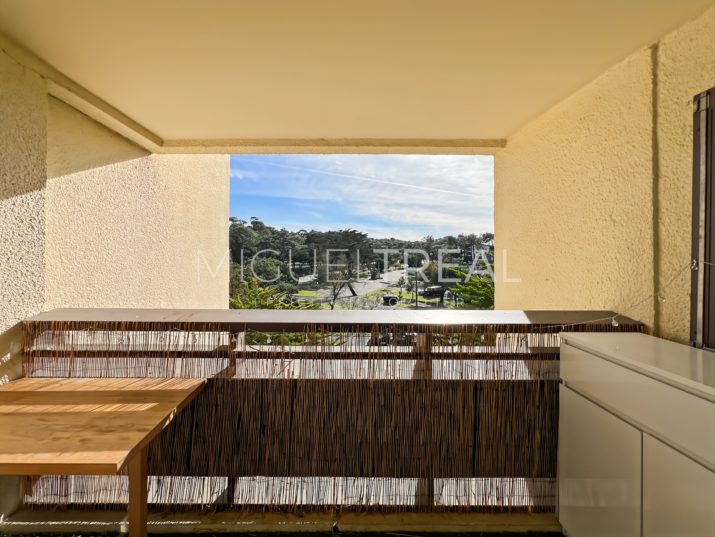 Achat immobilier Appartement 2 pièces  38m2 à Seignosse (40510) - Photo n°6