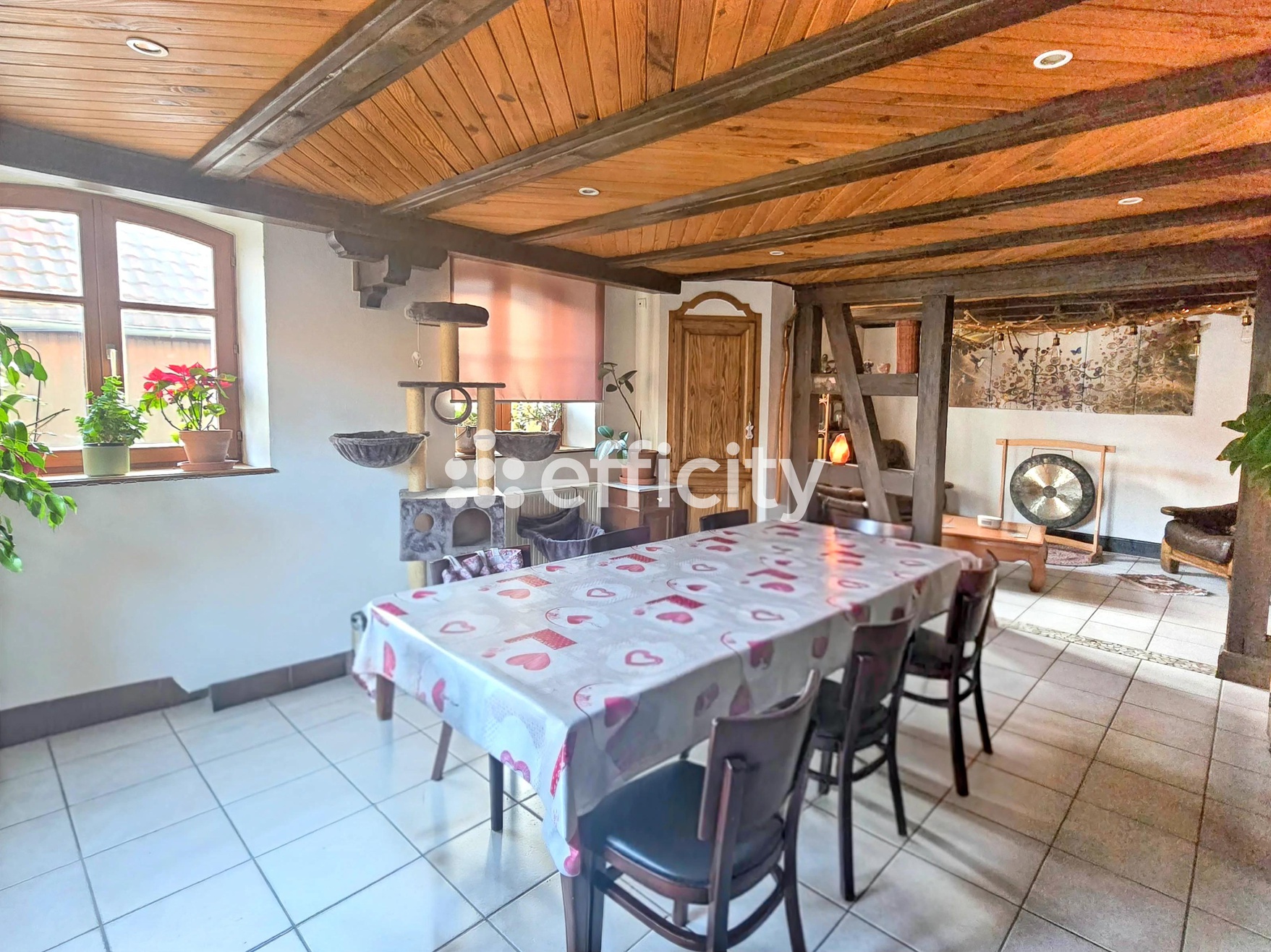maison 8 pièces - 160m2 à Scharrachbergheim-Irmstett (67310)