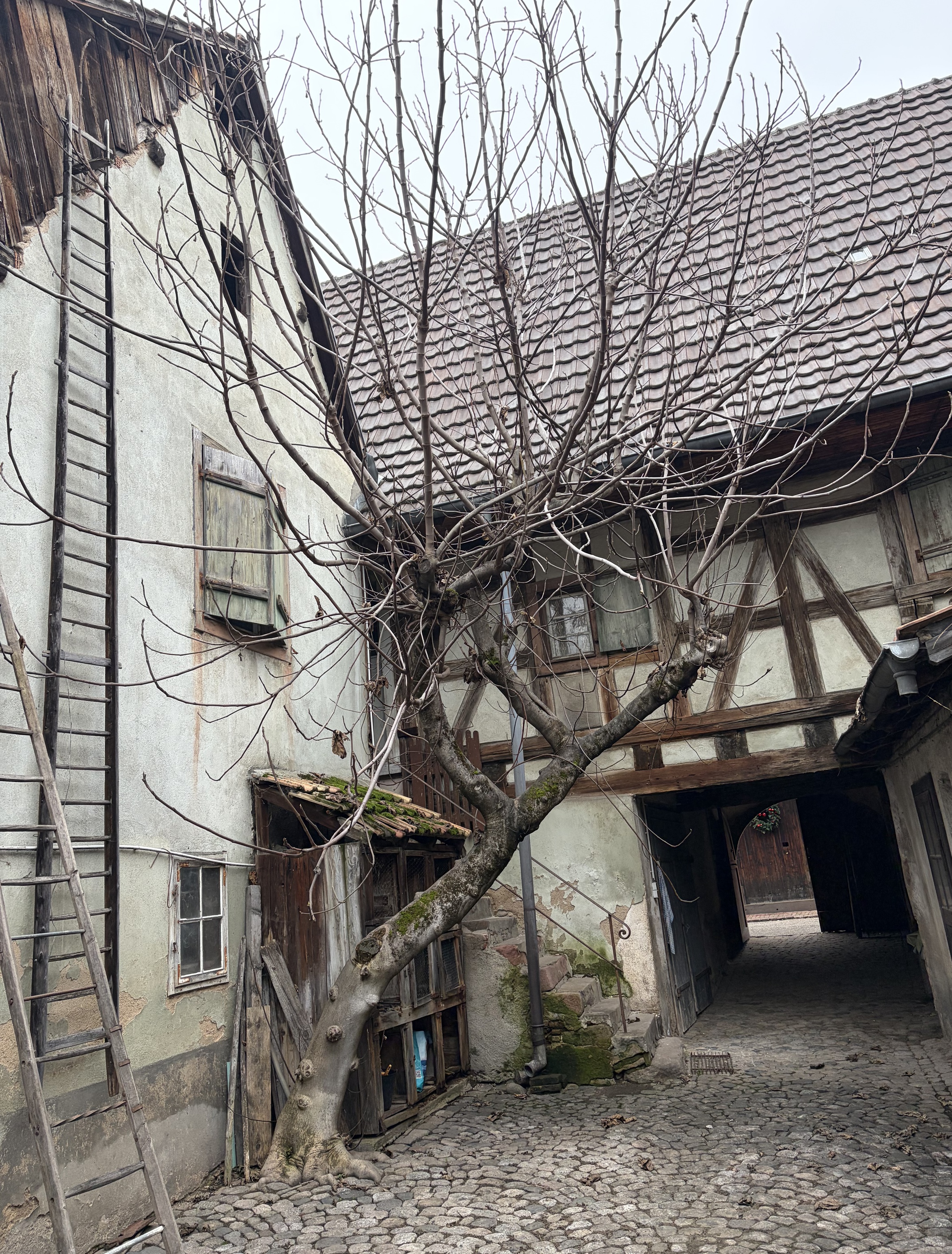 maison 4 pièces - 84m2 à Turckheim (68230)