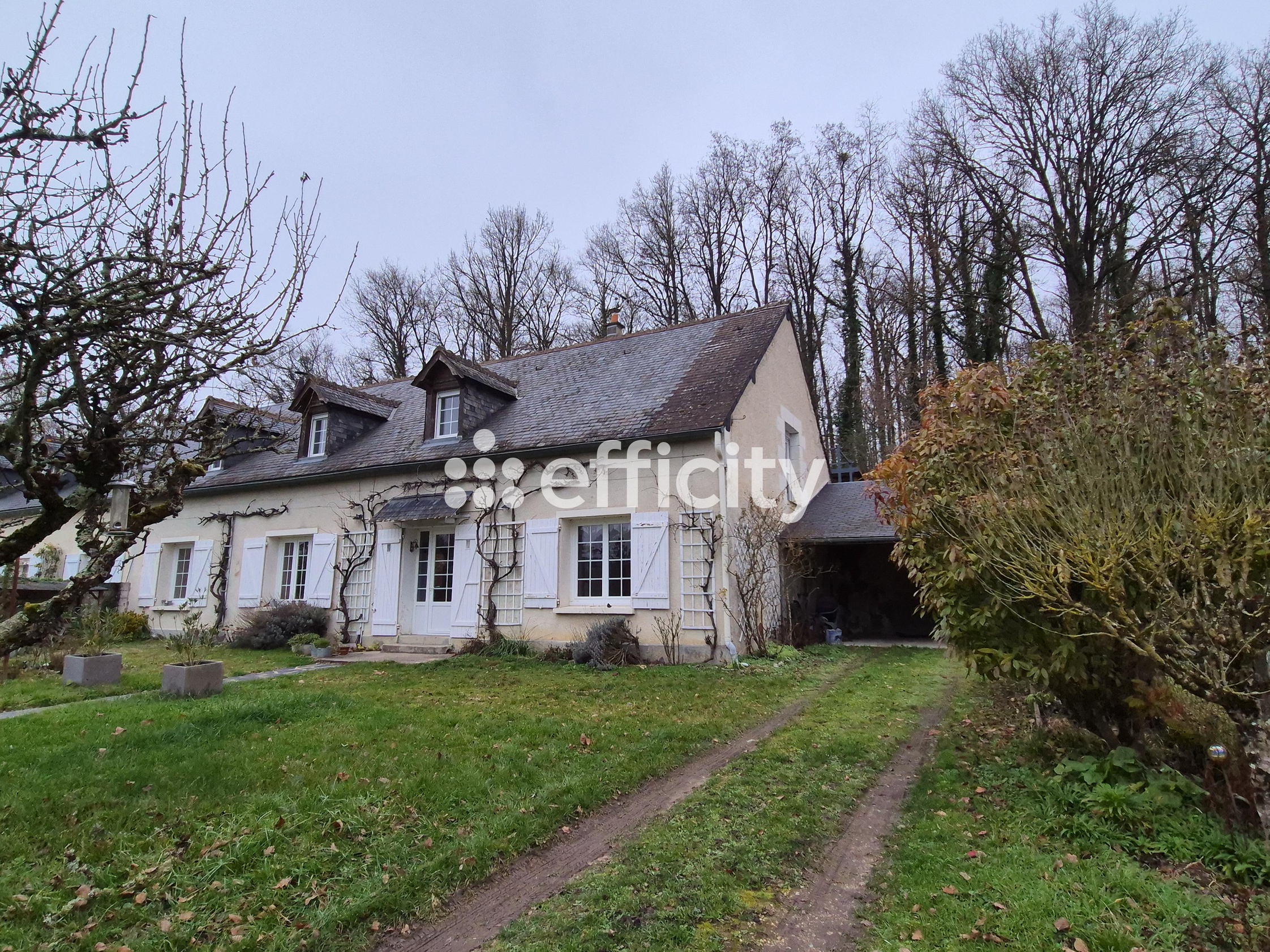 maison 8 pièces - 197m2 à Reignac-sur-Indre (37310)