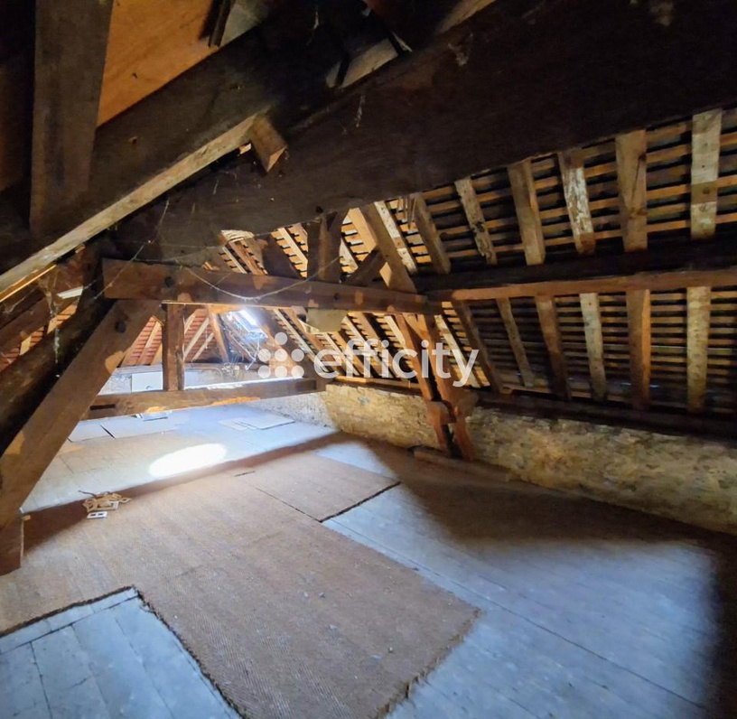 Achat immobilier Maison 11 pièces  264m2 à Saint-Paul-lès-Dax (40990) - Photo n°9