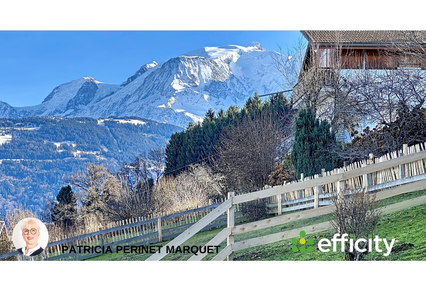 maison 14 pièces - 435,0m2 à Combloux (74920)