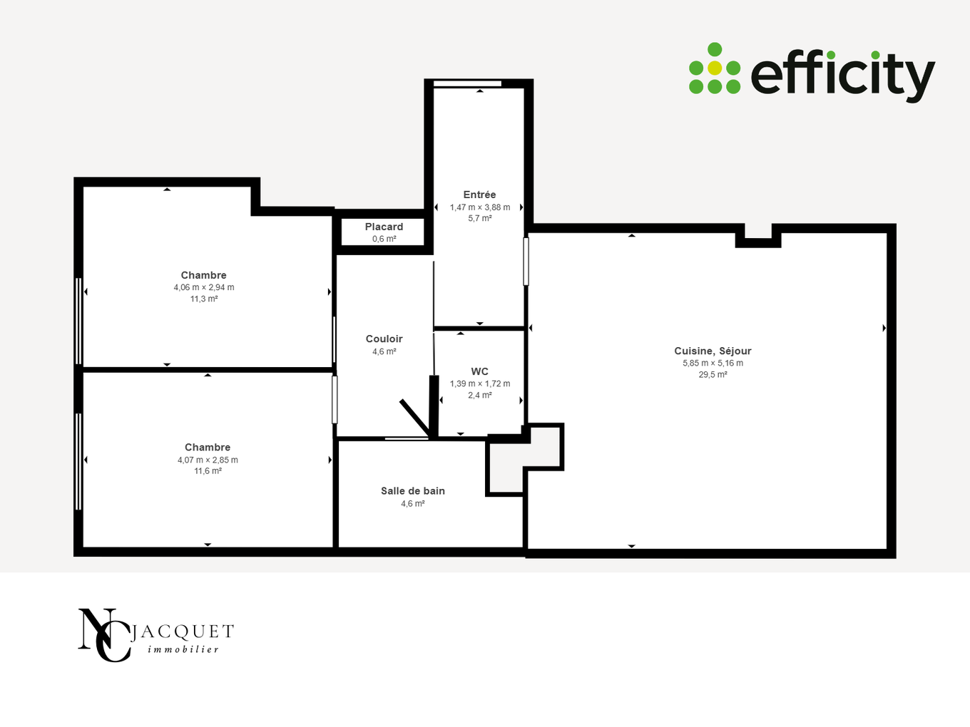 Achat immobilier Appartement 3 pièces  70m2 à Rillieux-la-Pape (69140) - Photo n°12