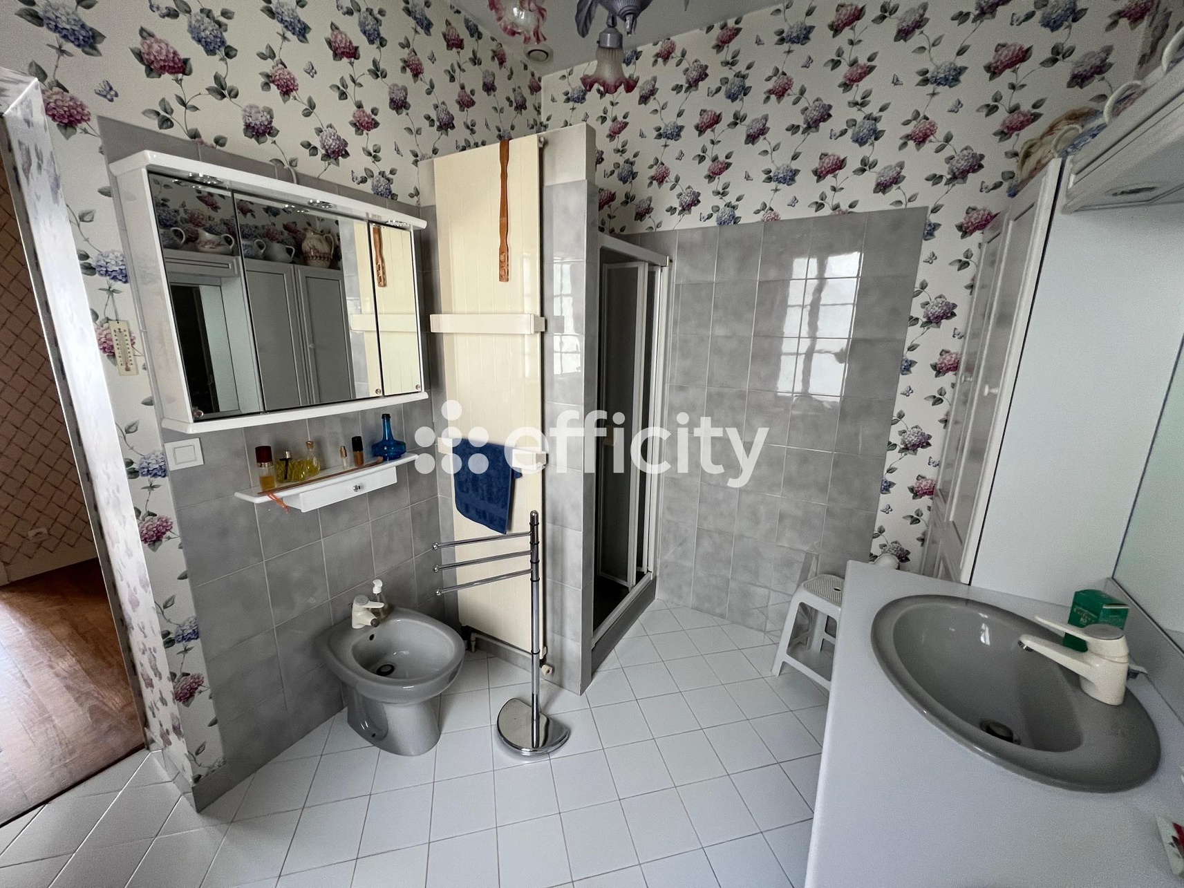 Achat immobilier Maison 9 pièces  233m2 à Bellême (61130) - Photo n°15