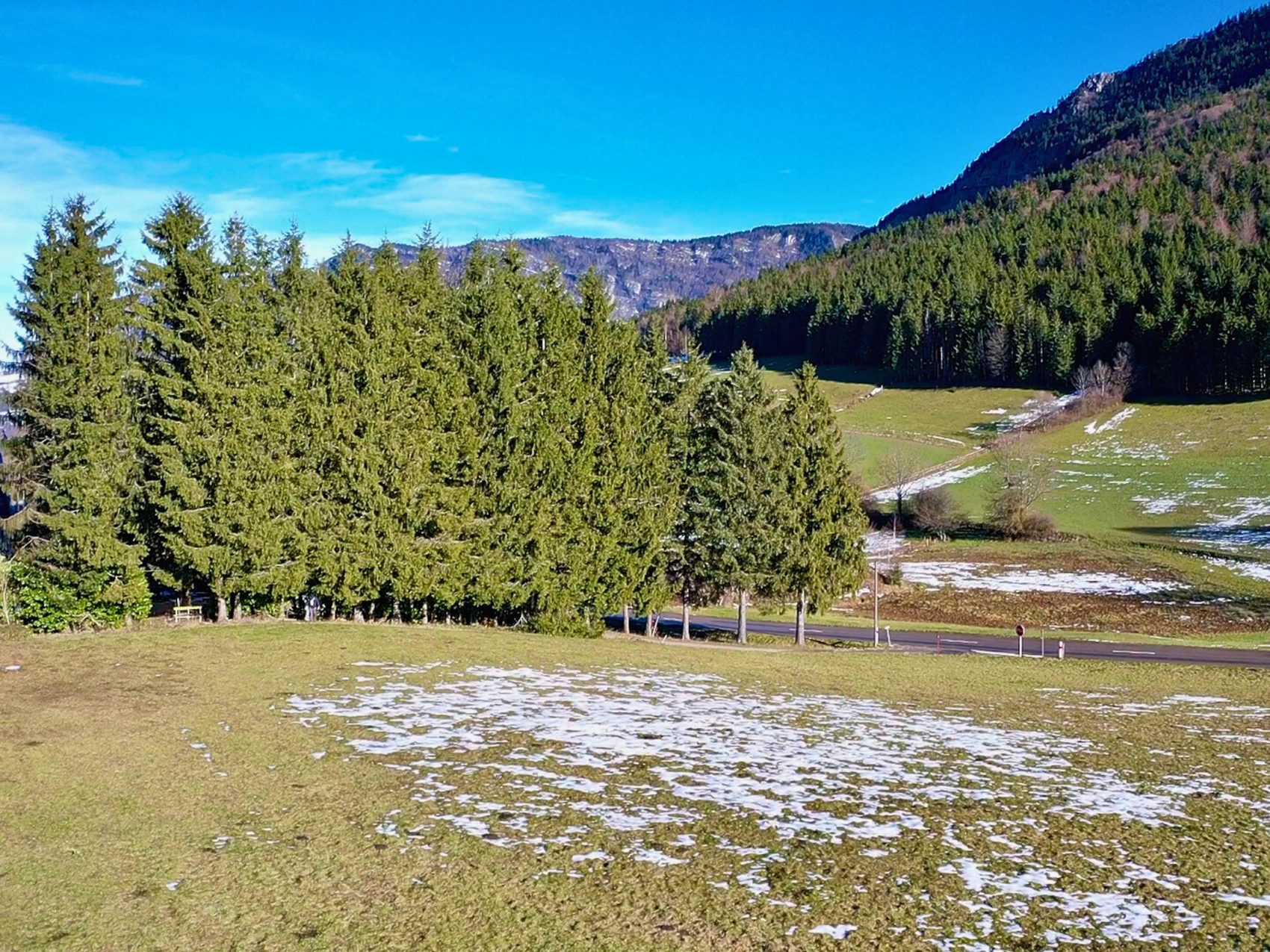 Achat immobilier Terrain   2300m2 à Saint-Julien-en-Vercors (26420) - Photo n°4