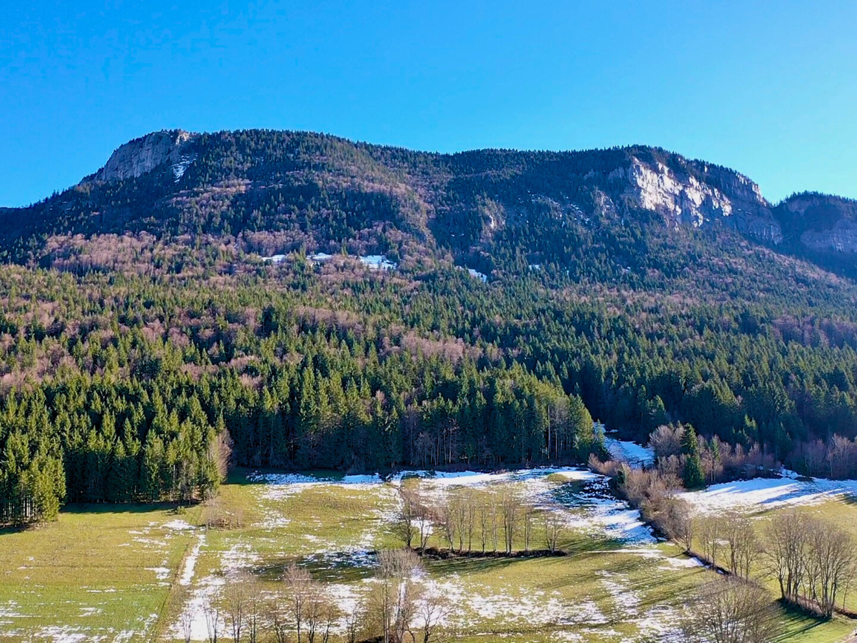 Achat immobilier Terrain   2300m2 à Saint-Julien-en-Vercors (26420) - Photo n°5