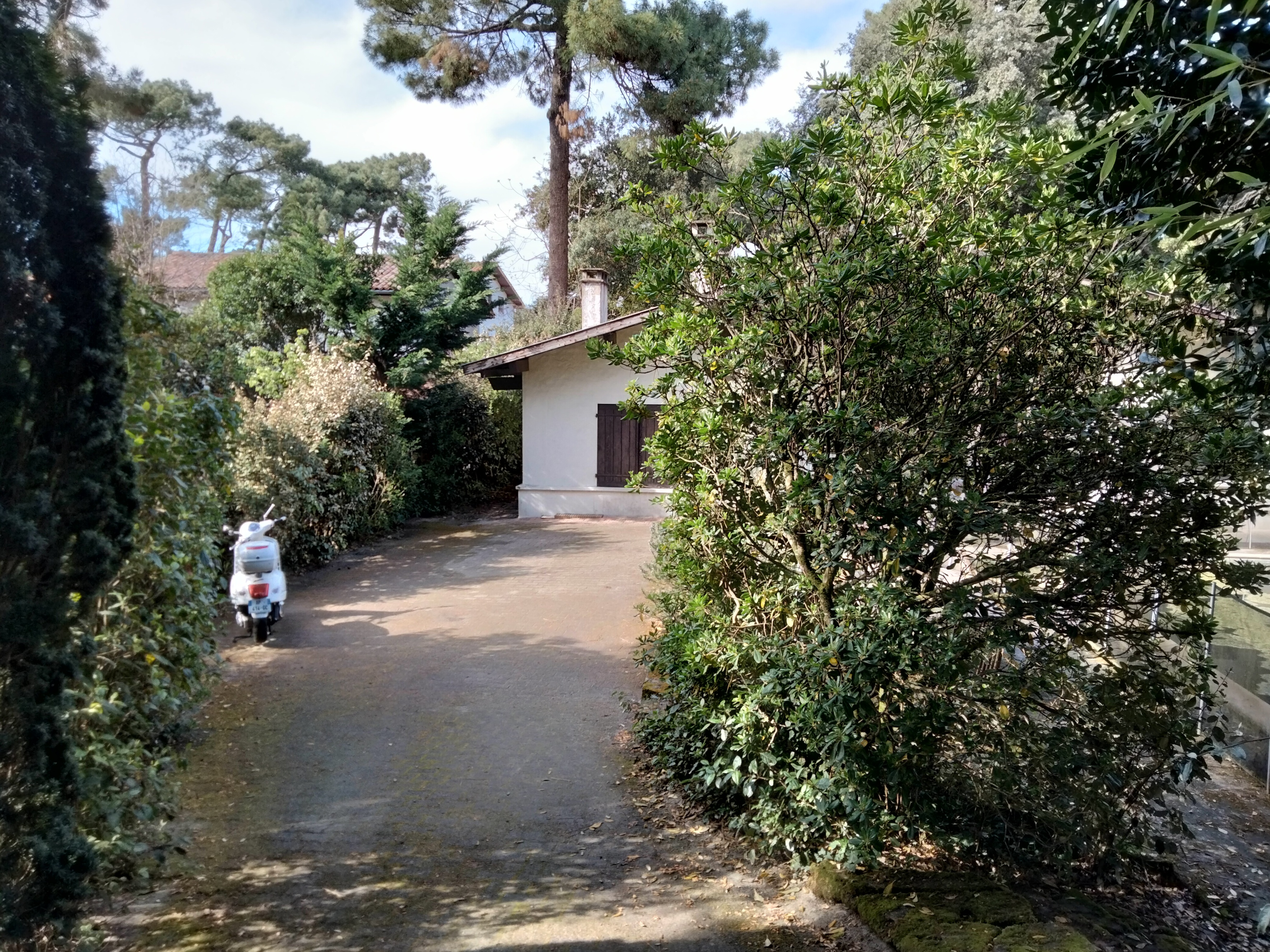 Achat immobilier Maison 5 pièces  150m2 à La Teste-de-Buch (33115) - Photo n°4