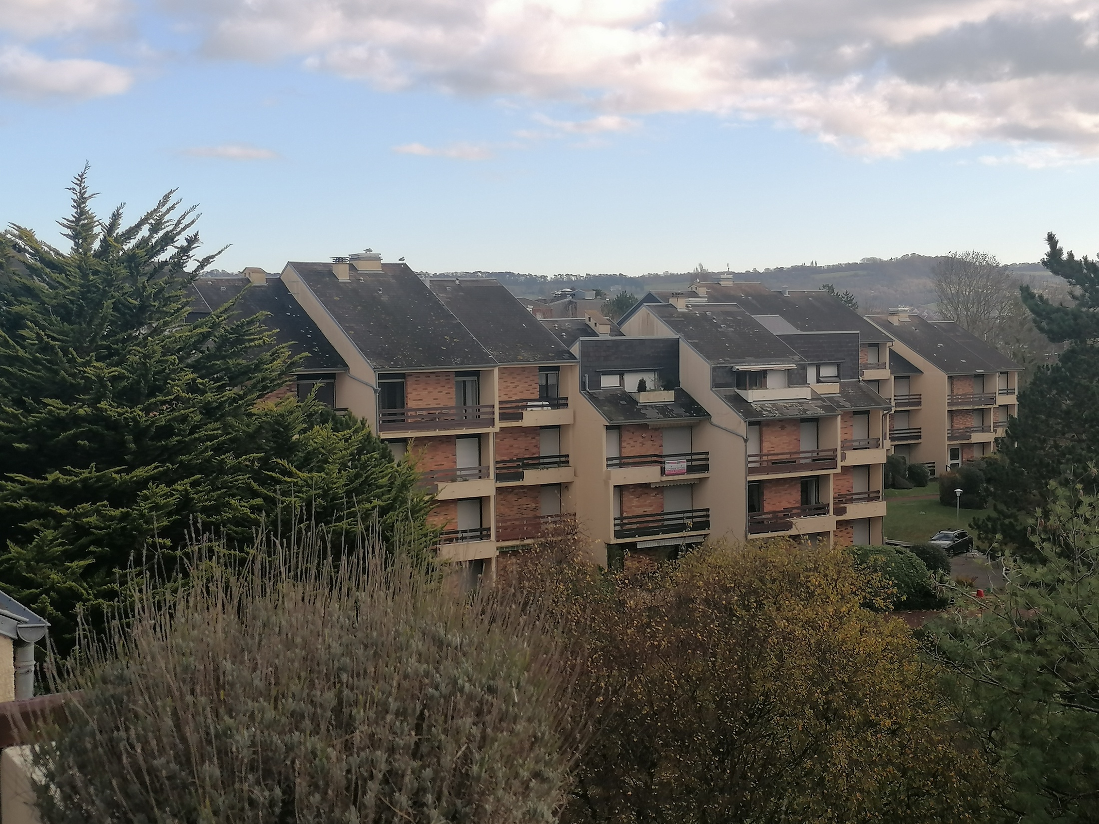 appartement 3 pièces - 32,42m2 à Cabourg (14390)