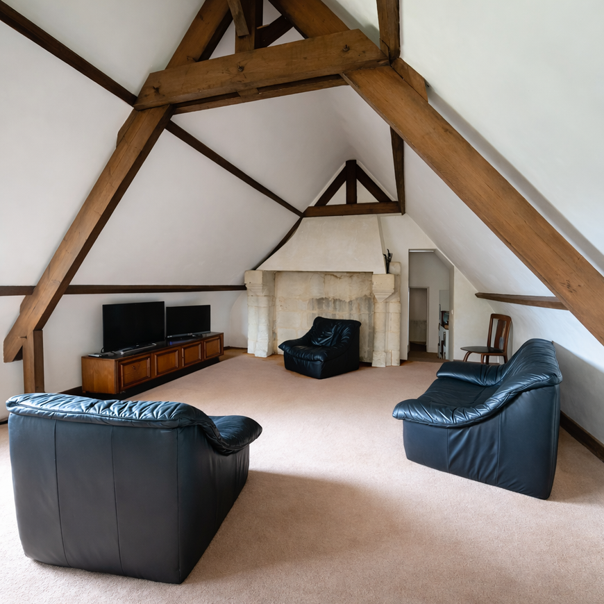 Achat immobilier Maison 11 pièces  233m2 à Neuillé-Pont-Pierre (37360) - Photo n°11