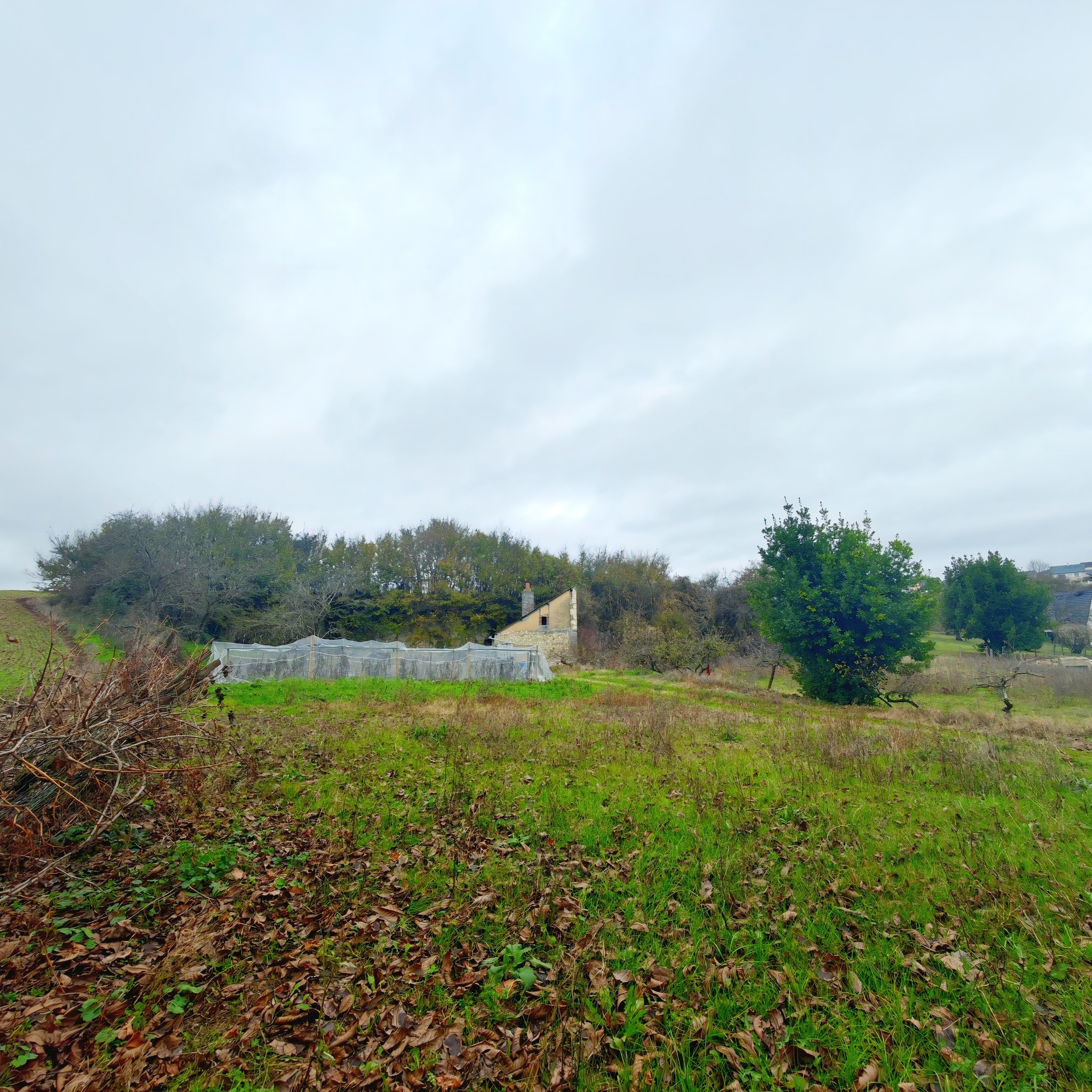 terrain  - 2517m2 à Saint-Christophe-sur-le-Nais (37370)